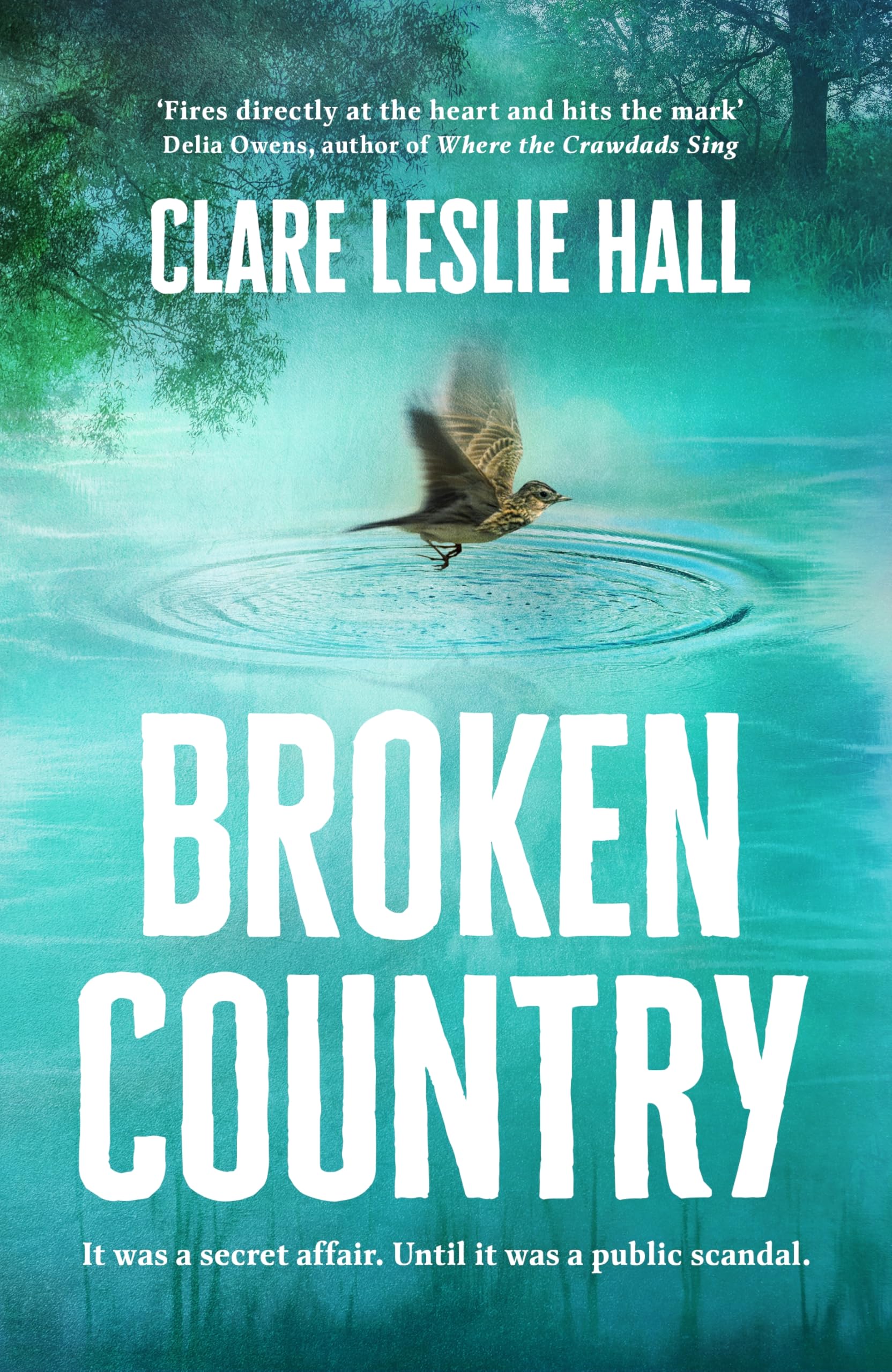 Libro: Broken Country: the most addictive love story of the year