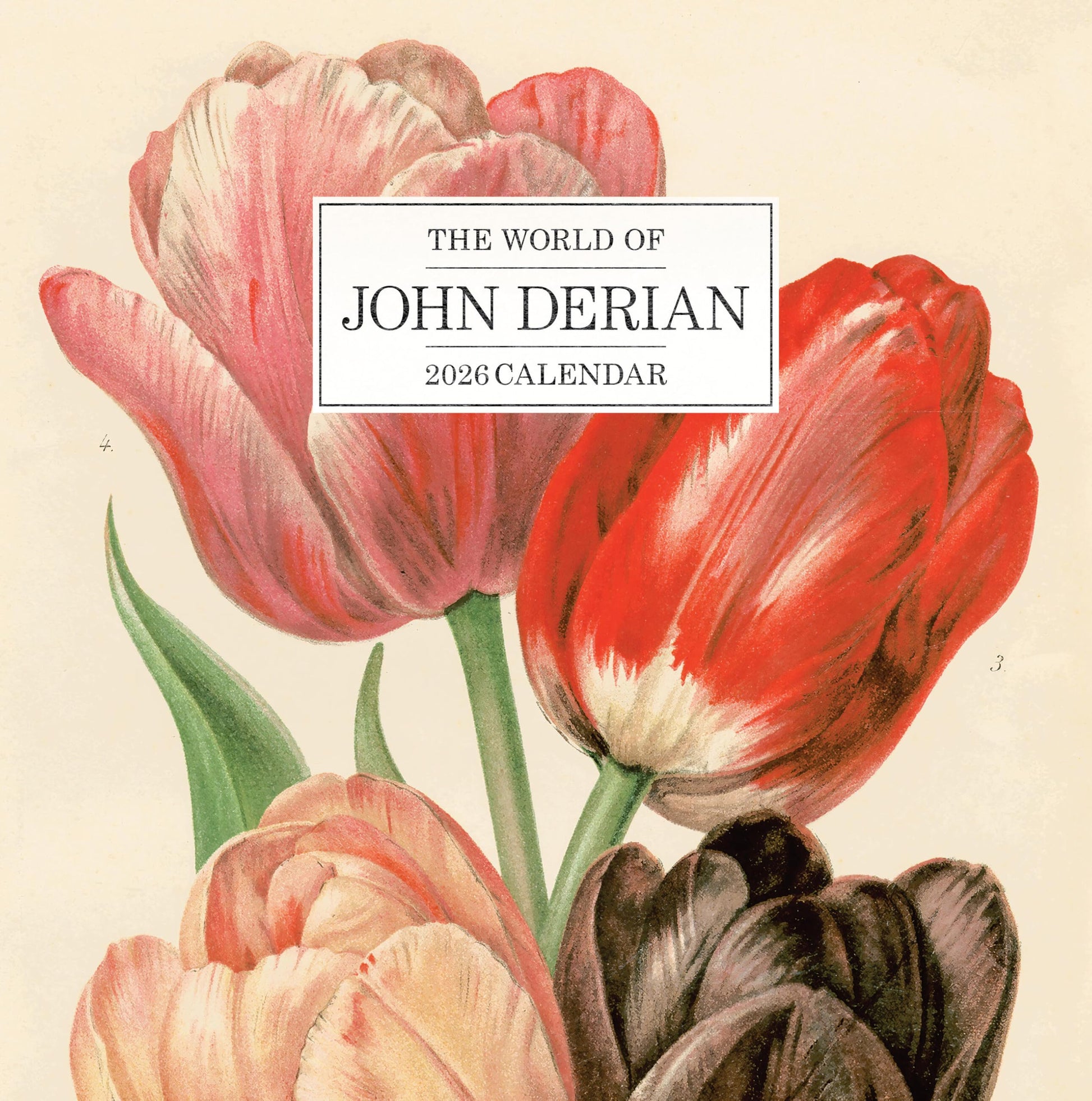 Libro: World of John Derian Wall Calendar 2026