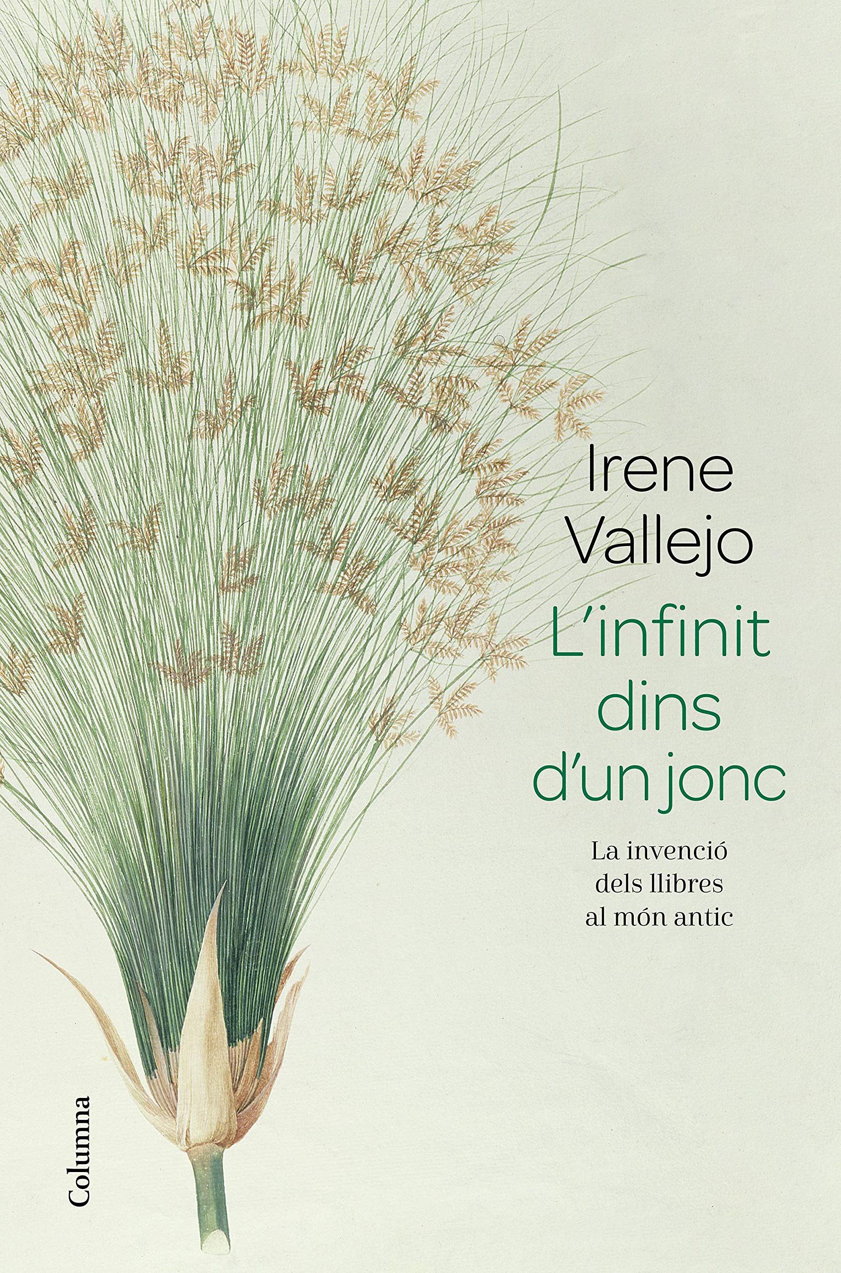 Libro: L'infinit dins d'un jonc: La invenció dels llibres al món antic