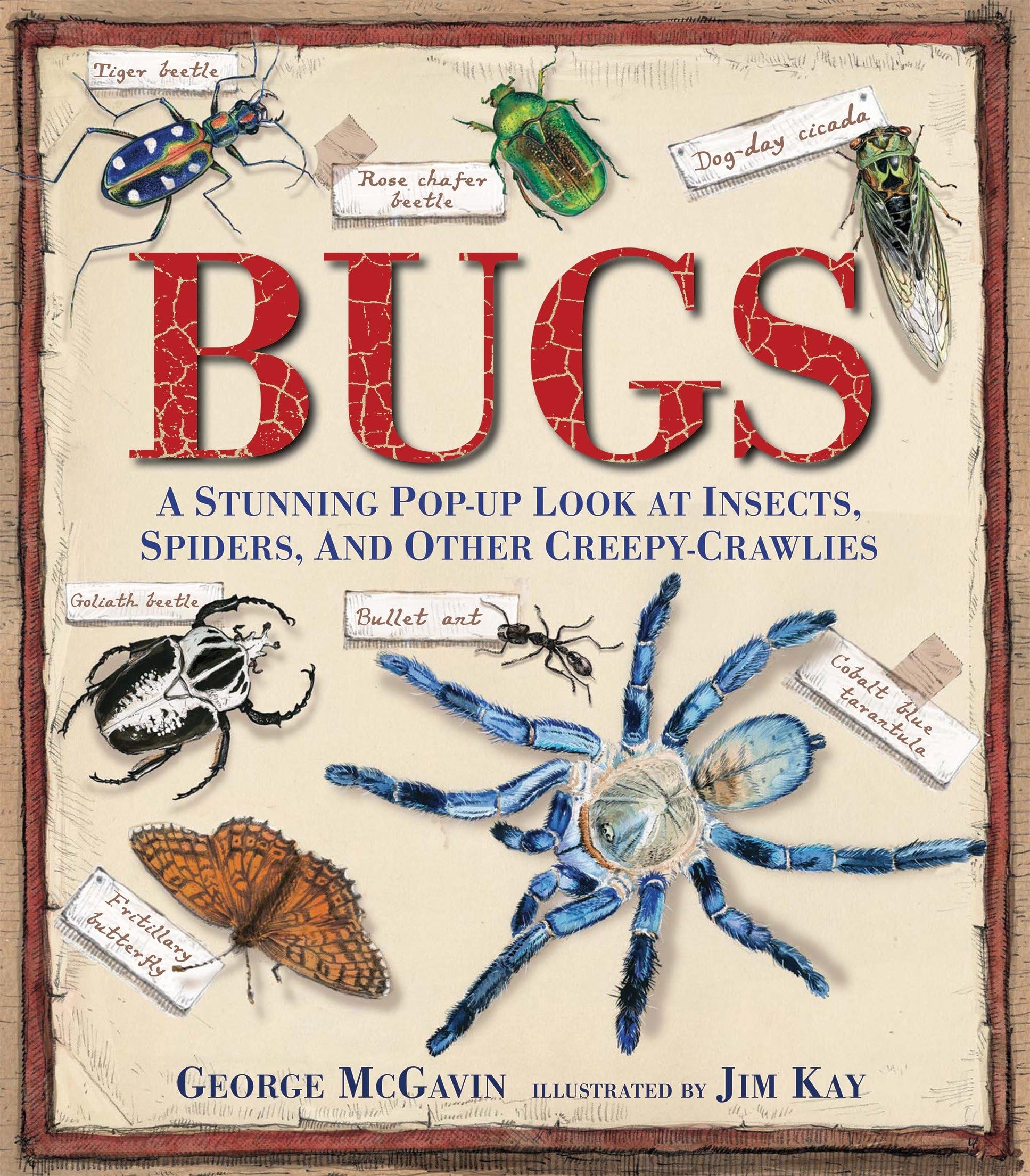 Libro: Bugs: A Stunning Pop-up Look at Insects, Spiders, and Other Creepy-Crawlies