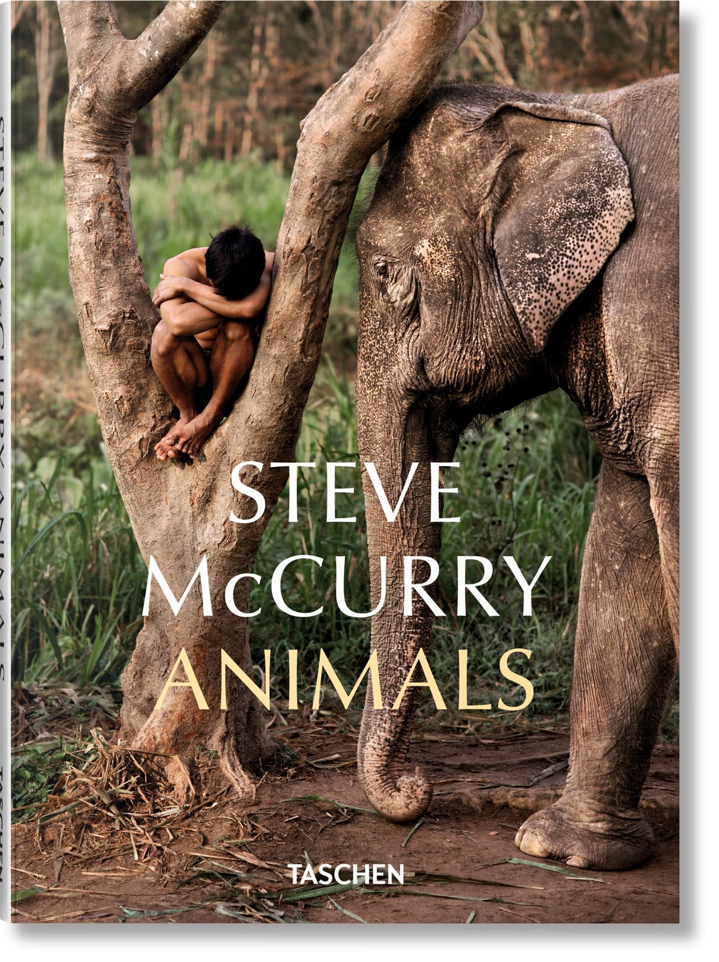 Libro: Steve McCurry: Animals (Icon)