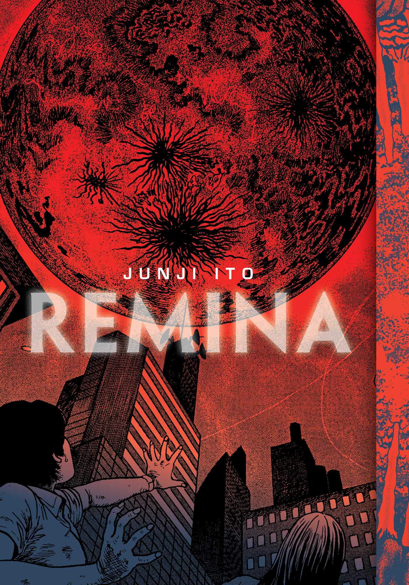 Libro: Remina (Viz signature)