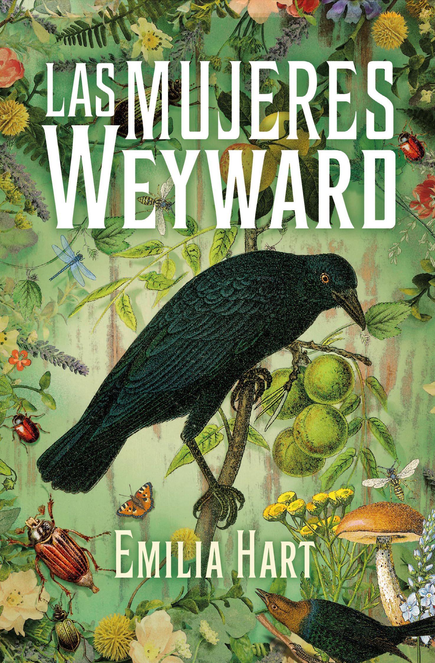 Las mujeres Weyward (Books4pocket narrativa)