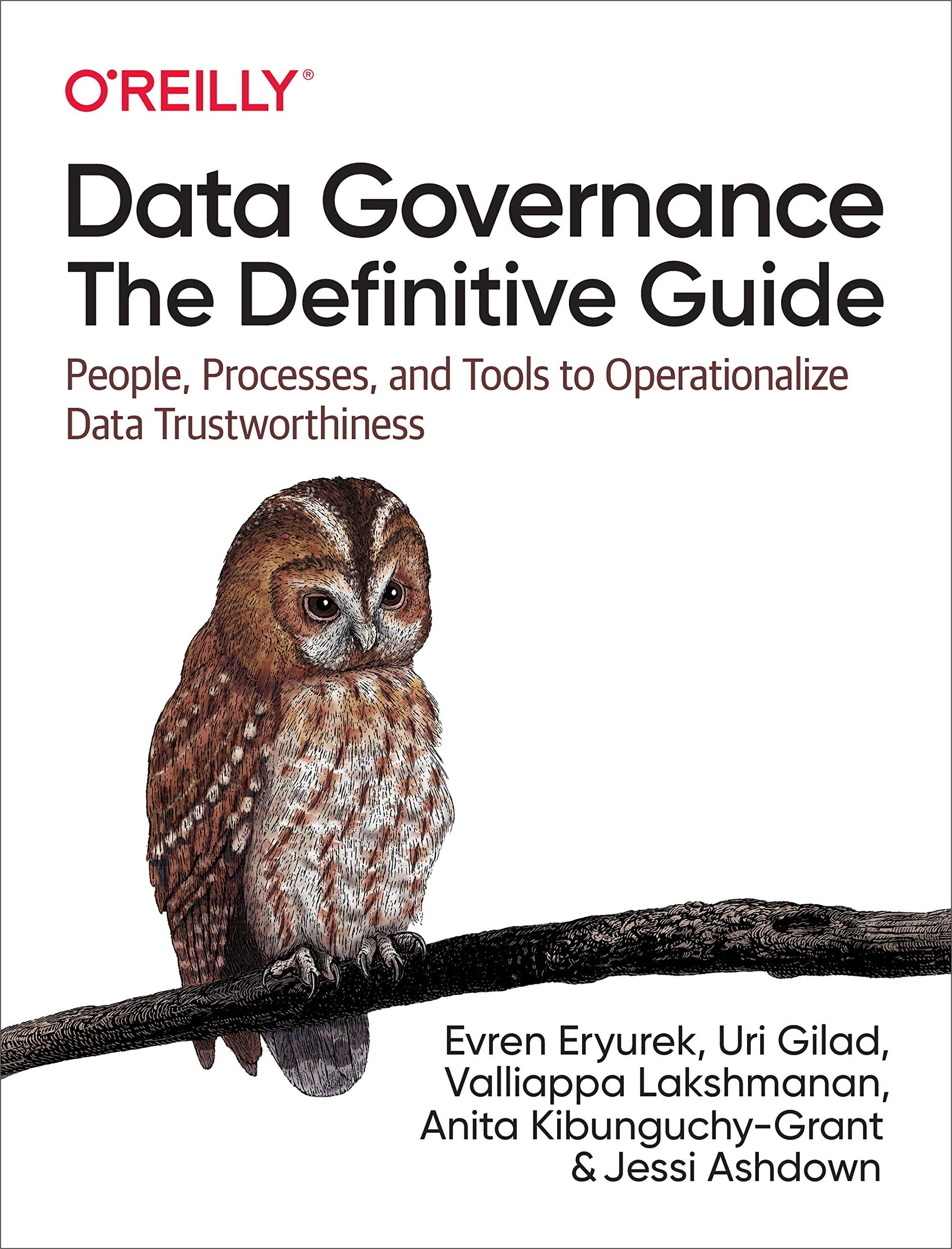 Libro: Data Governance: The Definitive Guide: People, Processes, and Tools to Operationalize Data Trustworthiness