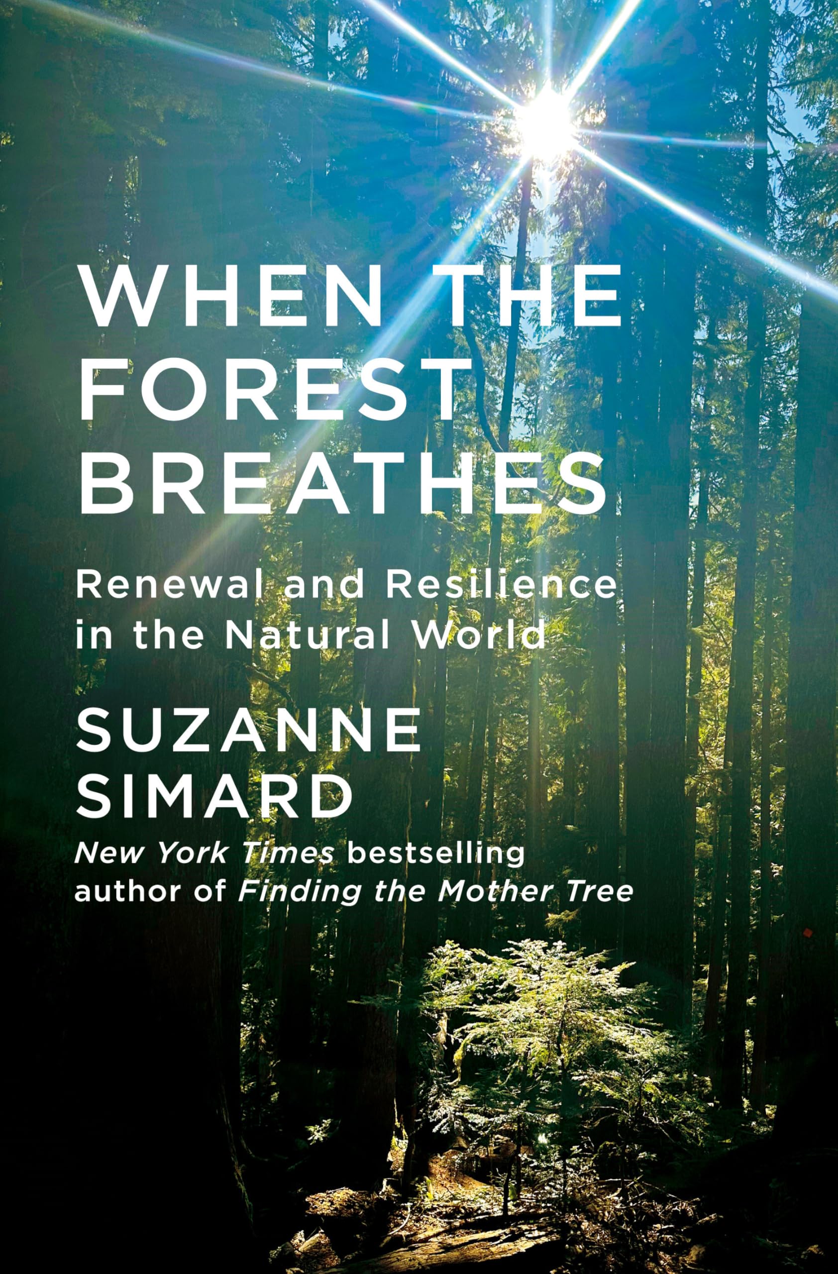 Libro: When the Forest Breathes: Renewal and Resilience in the Natural World