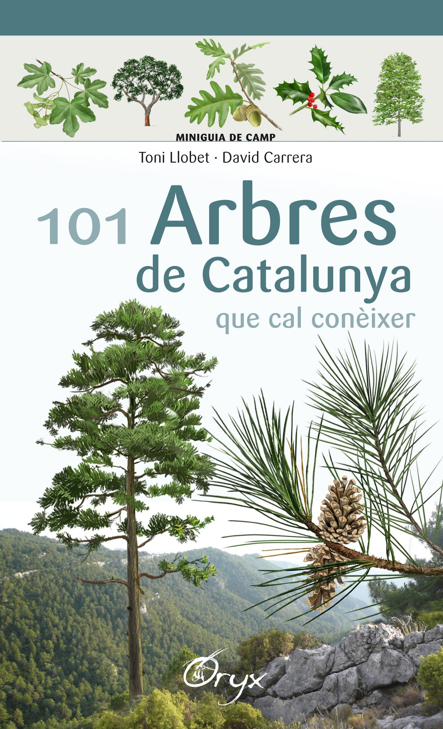 Libro: 101 Arbres De Catalunya: que cal conèixer (Miniguia de camp)