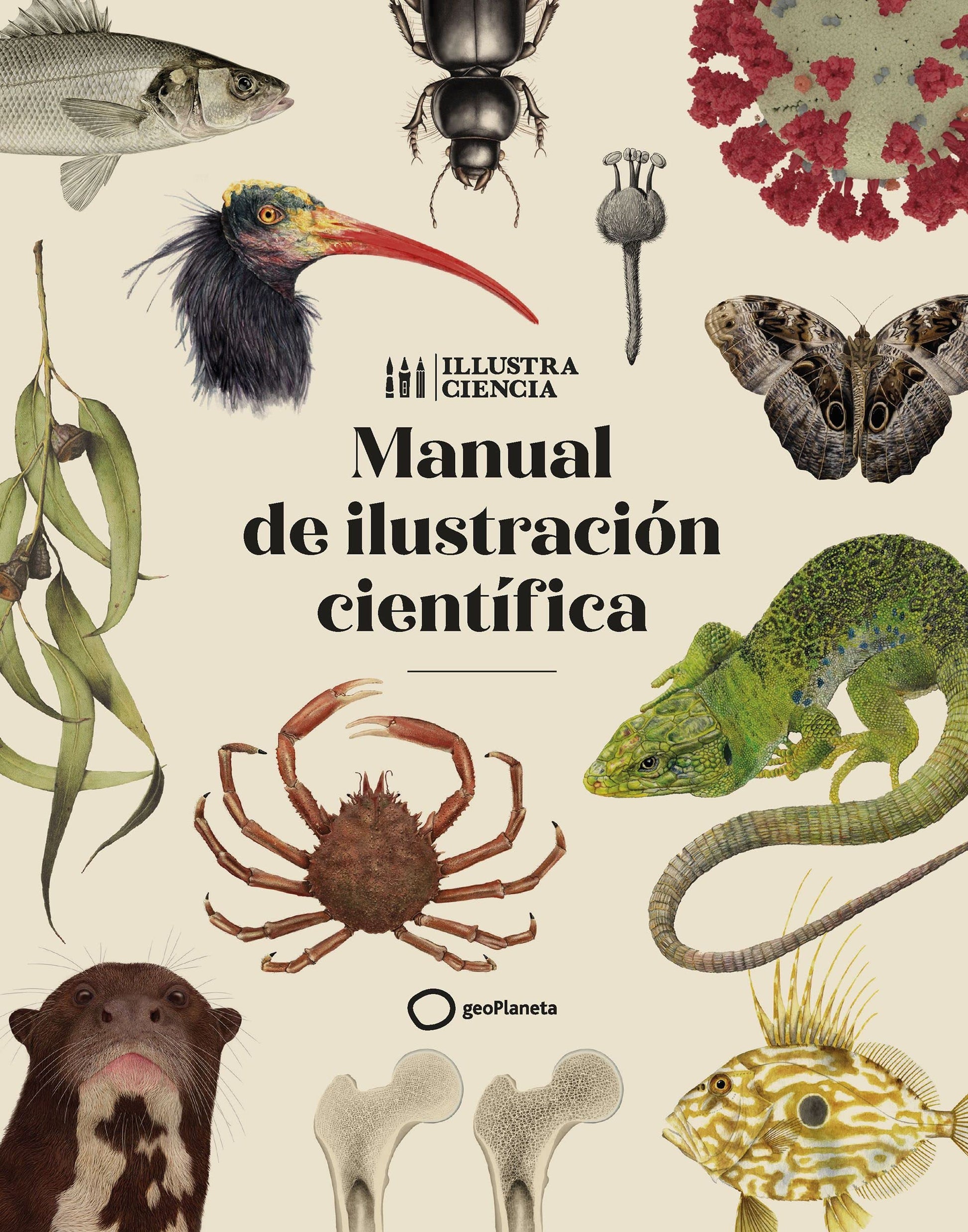 Libro: Manual de ilustración científica (Ilustrados) (Edición en Español)