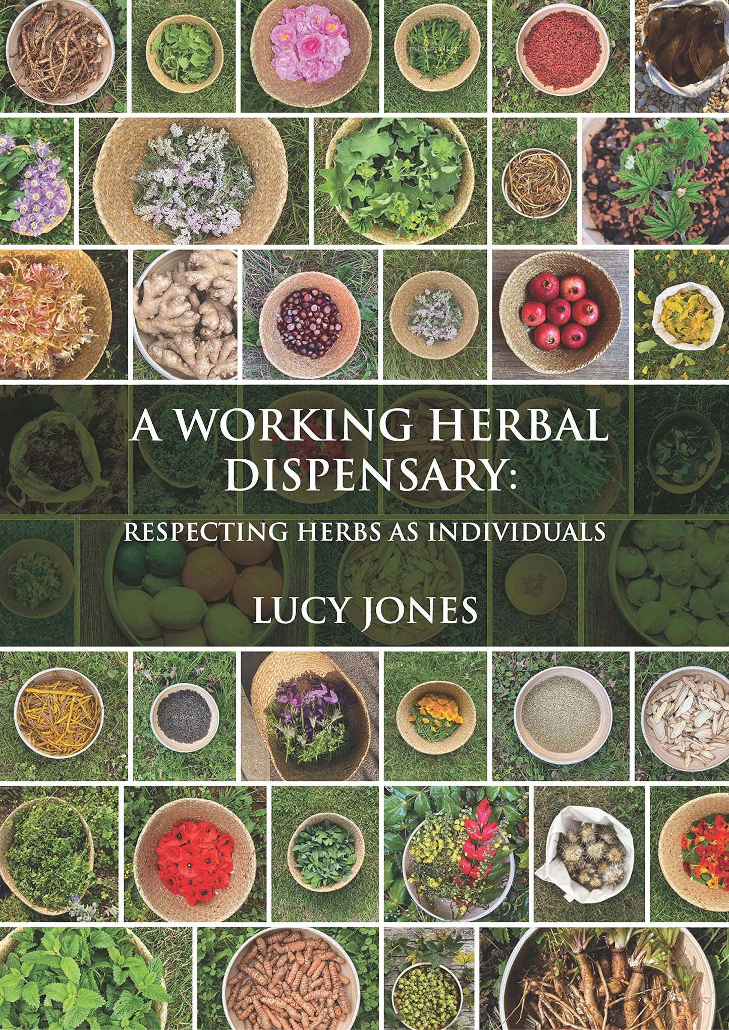 Libro: A Working Herbal Dispensary: Respecting Herbs As Individuals
