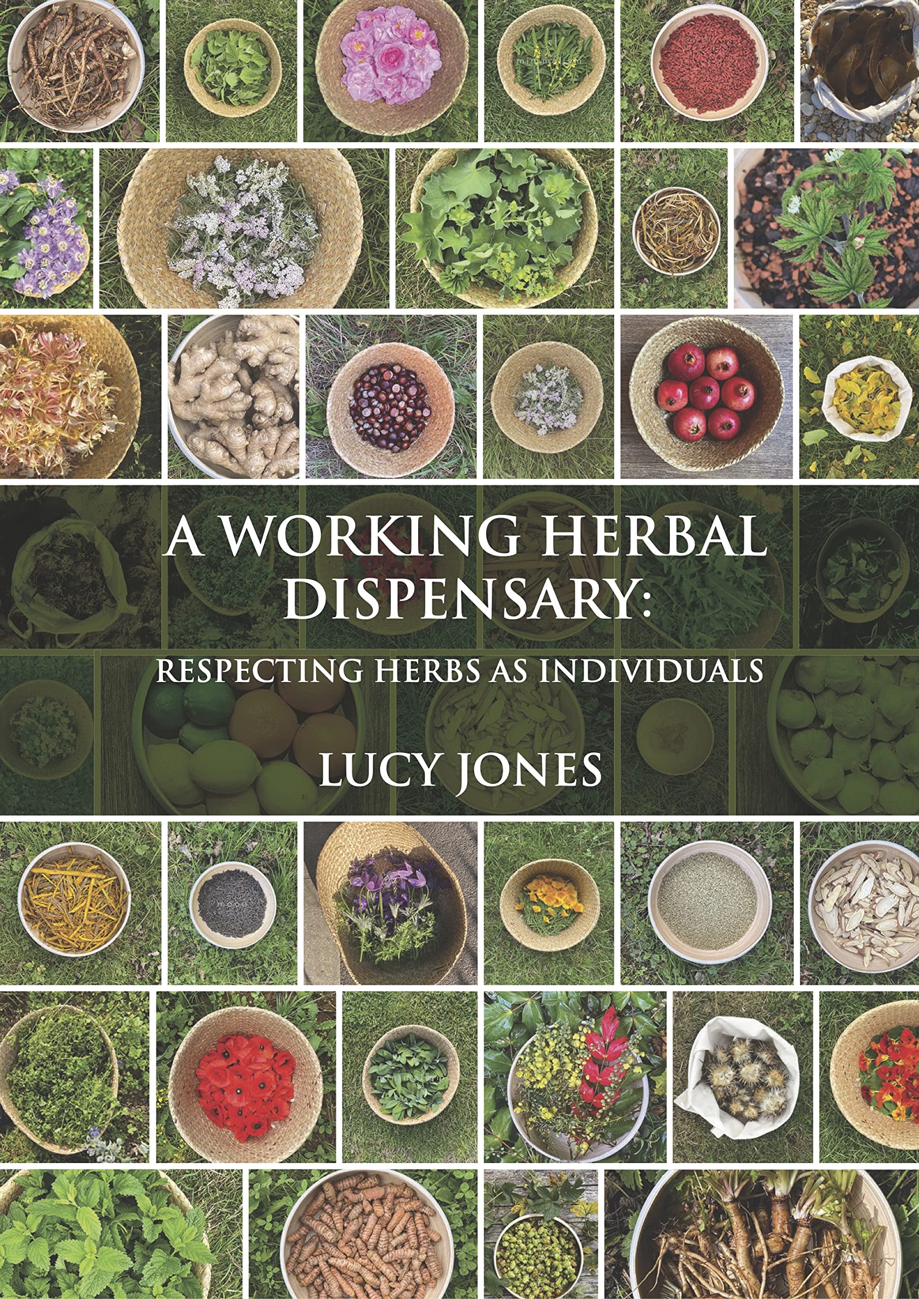 Libro: A Working Herbal Dispensary: Respecting Herbs As Individuals