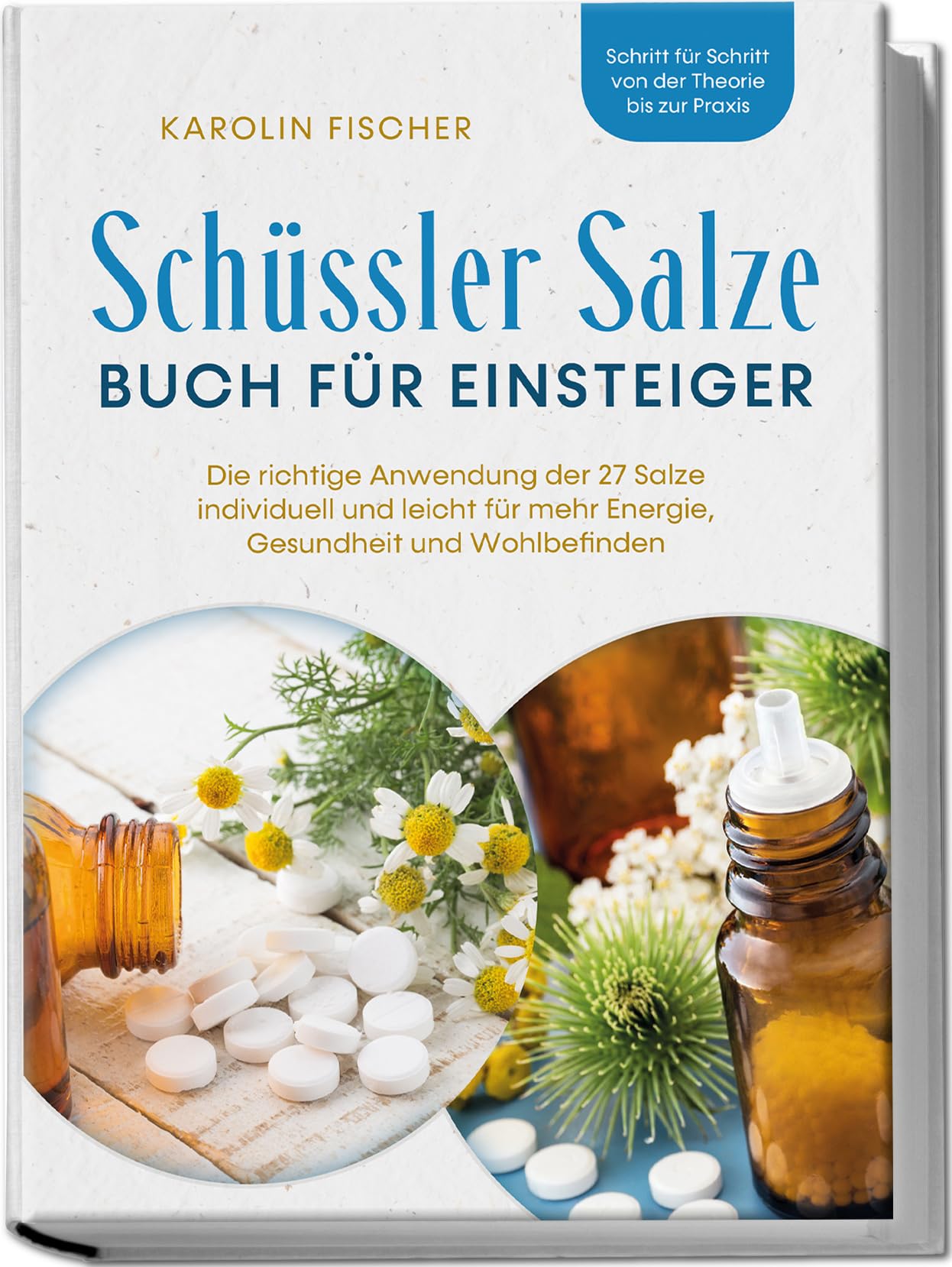 Libro: Schüssler Salze Buch für Einsteiger: Die richtige Anwendung der 27 Salze individuell und leicht für mehr Energie, Gesundheit und Wohlbefinden - ... der Theorie bis zur Praxis (German Edition)