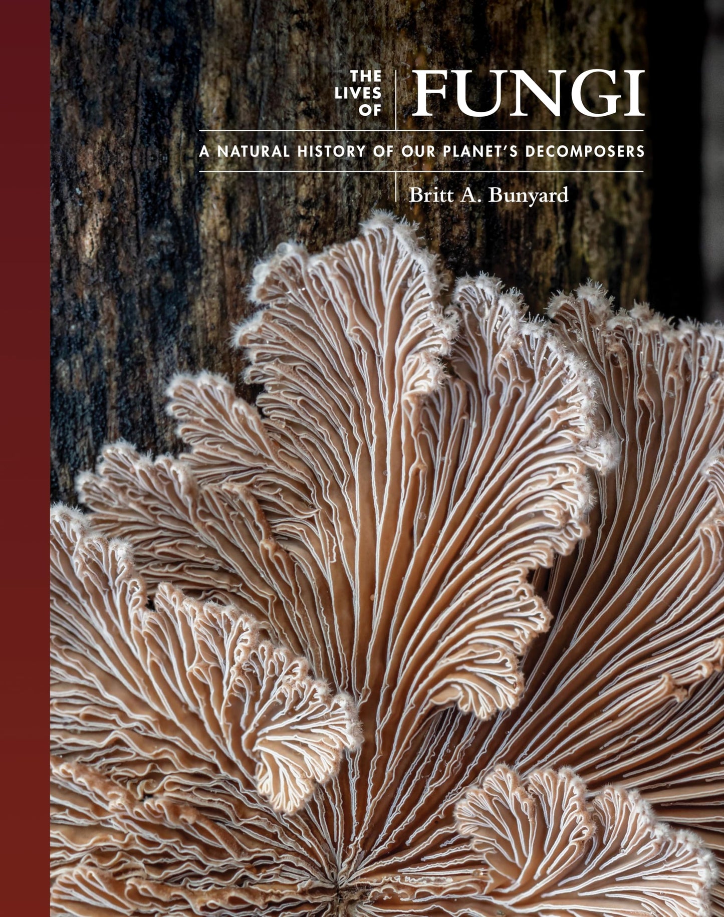 Libro: The Lives of Fungi: A Natural History of Our Planet's Decomposers (The Lives of the Natural World)
