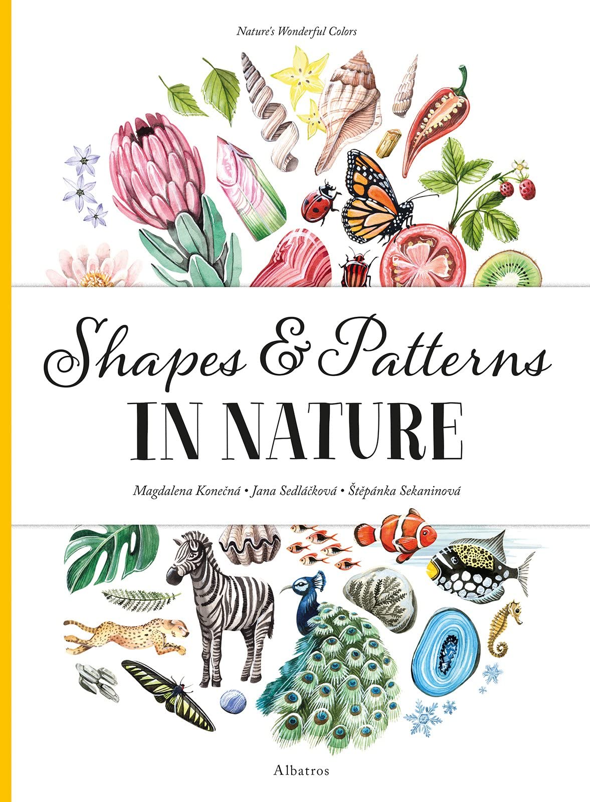 Libro: Shapes and Patterns in Nature (Nature's Wonderful Colors, 3)