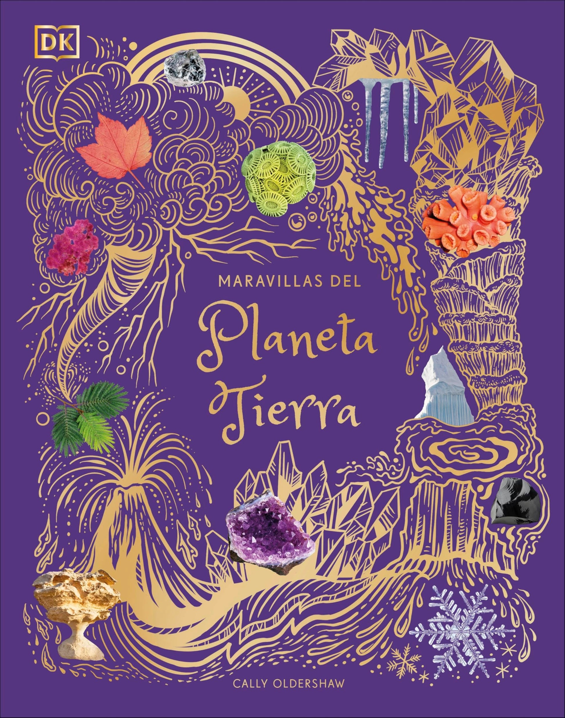Libro: Maravillas del planeta Tierra (Planeta curioso) (DK Infantil)