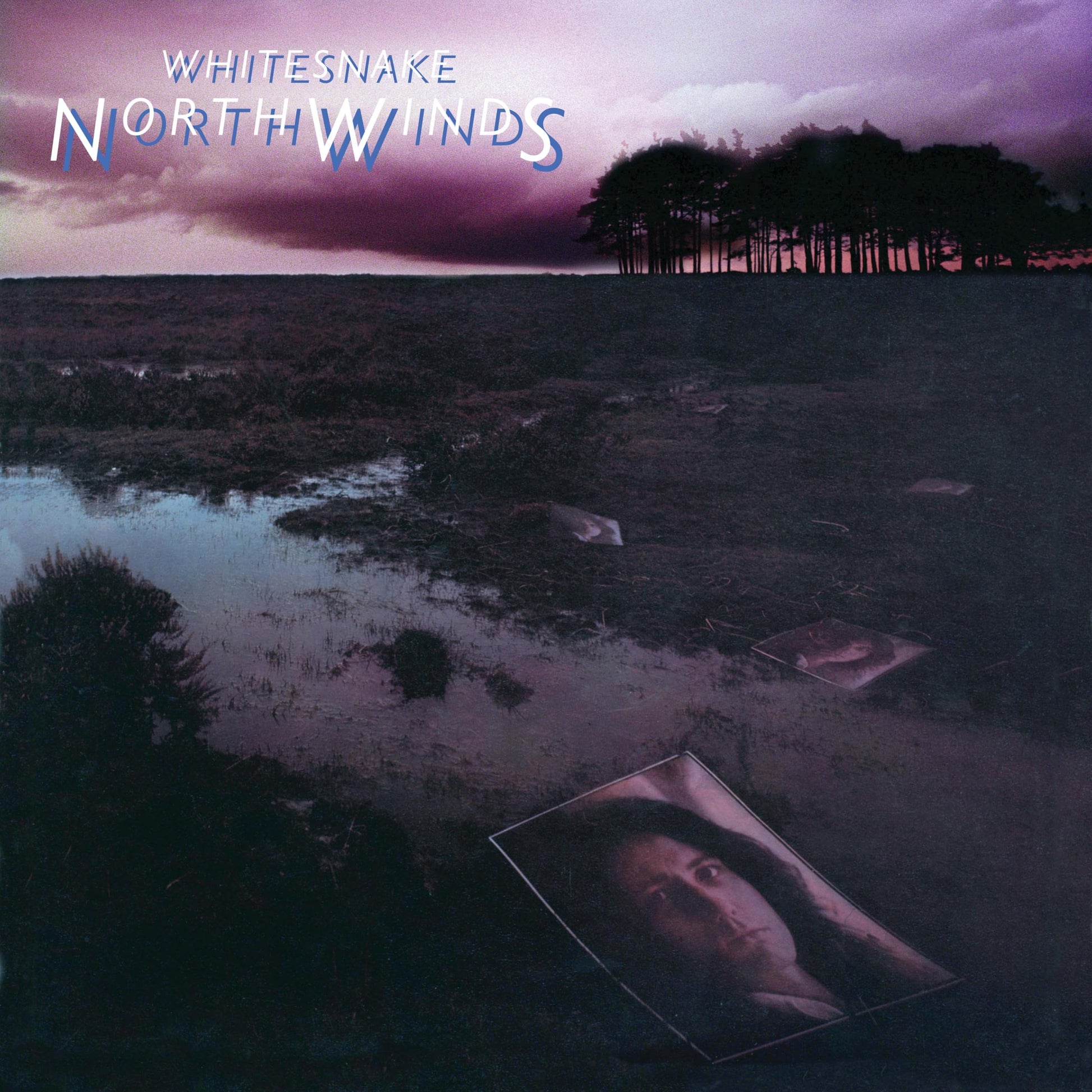 Libro: NorthWinds