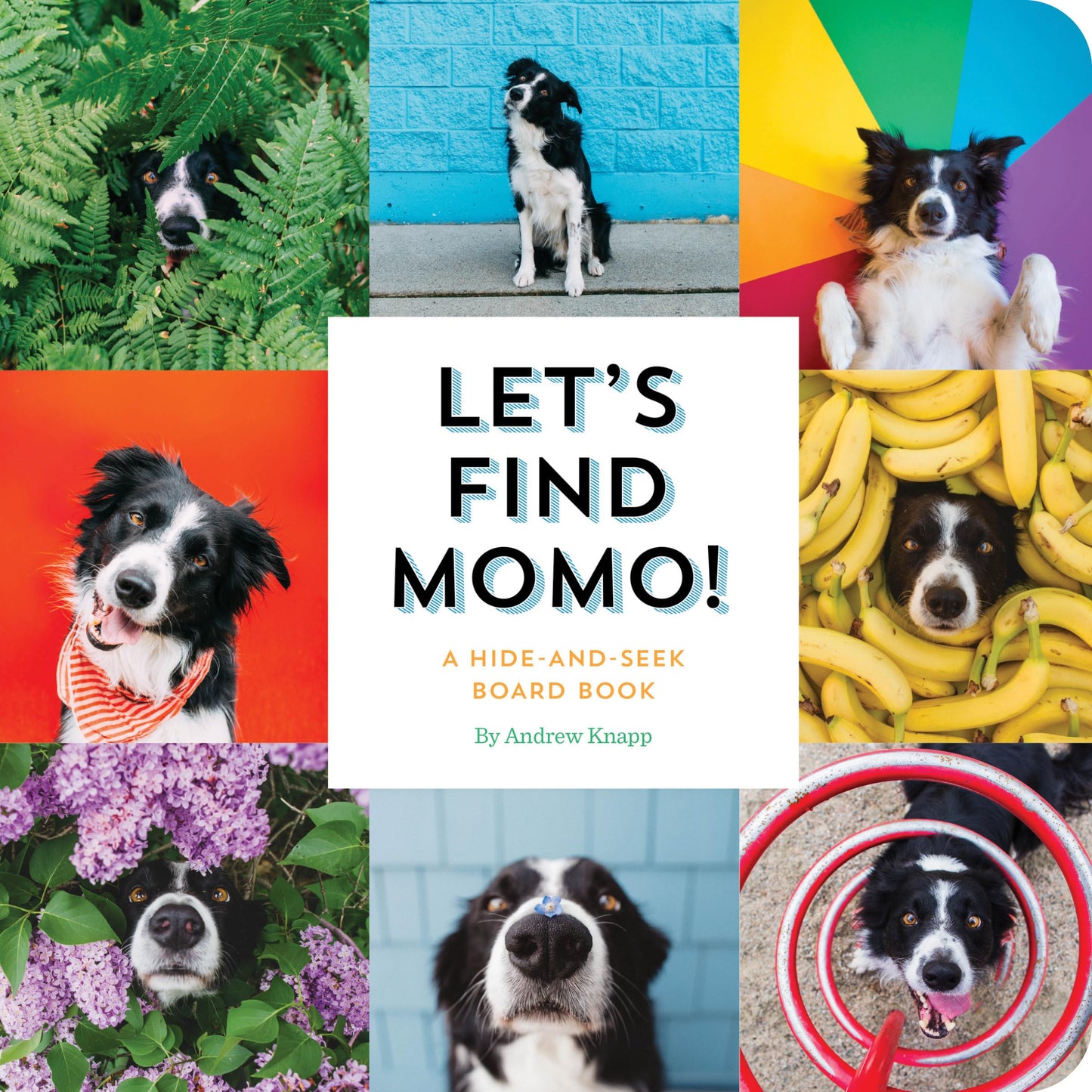 Let's Find Momo!: A Hide-and-Seek Board Book: 3