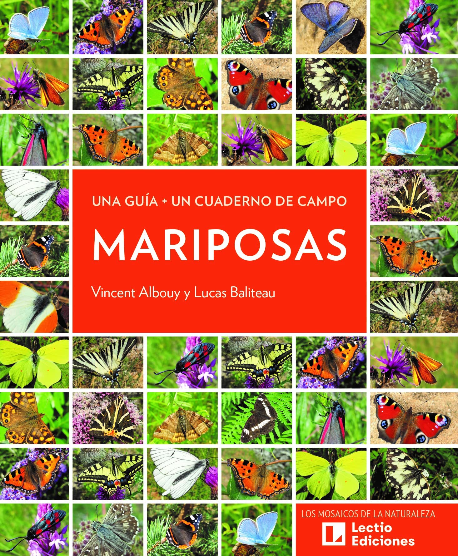 Libro: Mariposas: Una guía + Un cuaderno de campo