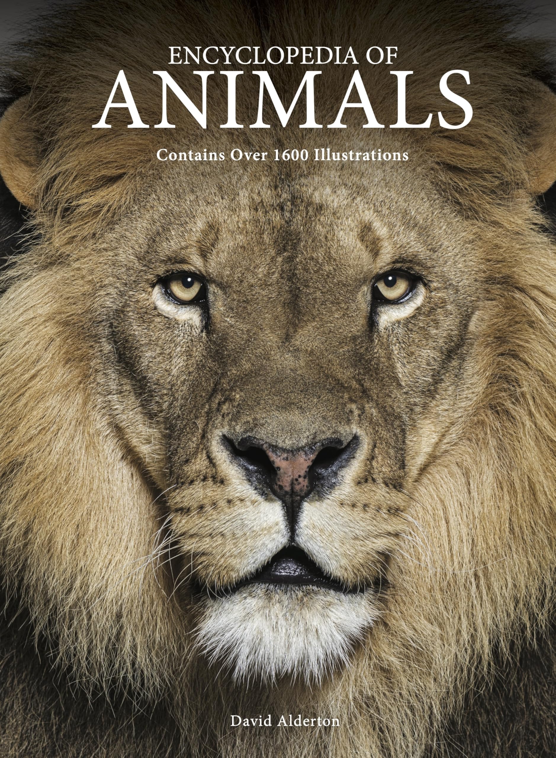 Libro: Encyclopedia of Animals (Encyclopedia Handbook)