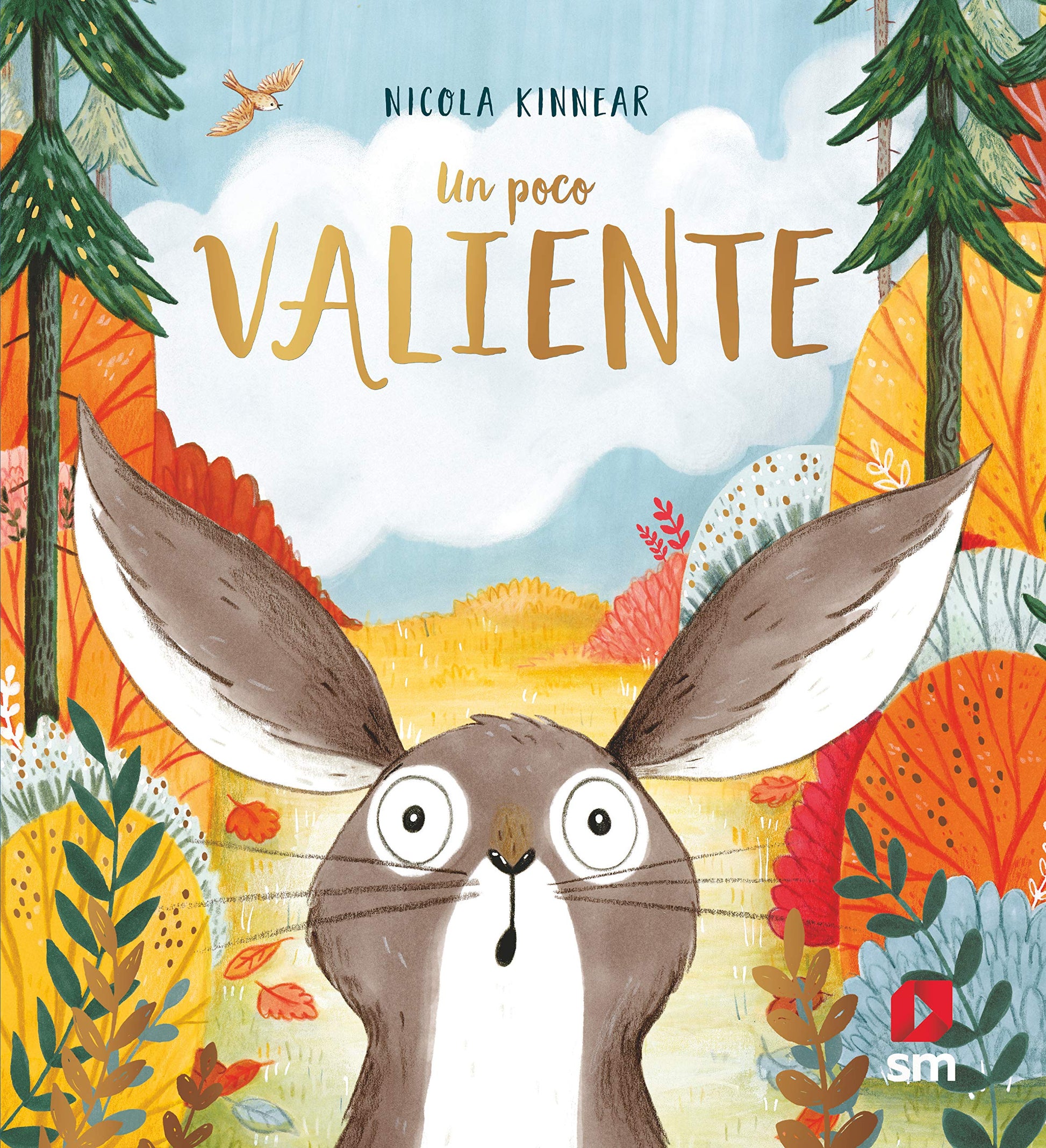 Libro: Un poco valiente