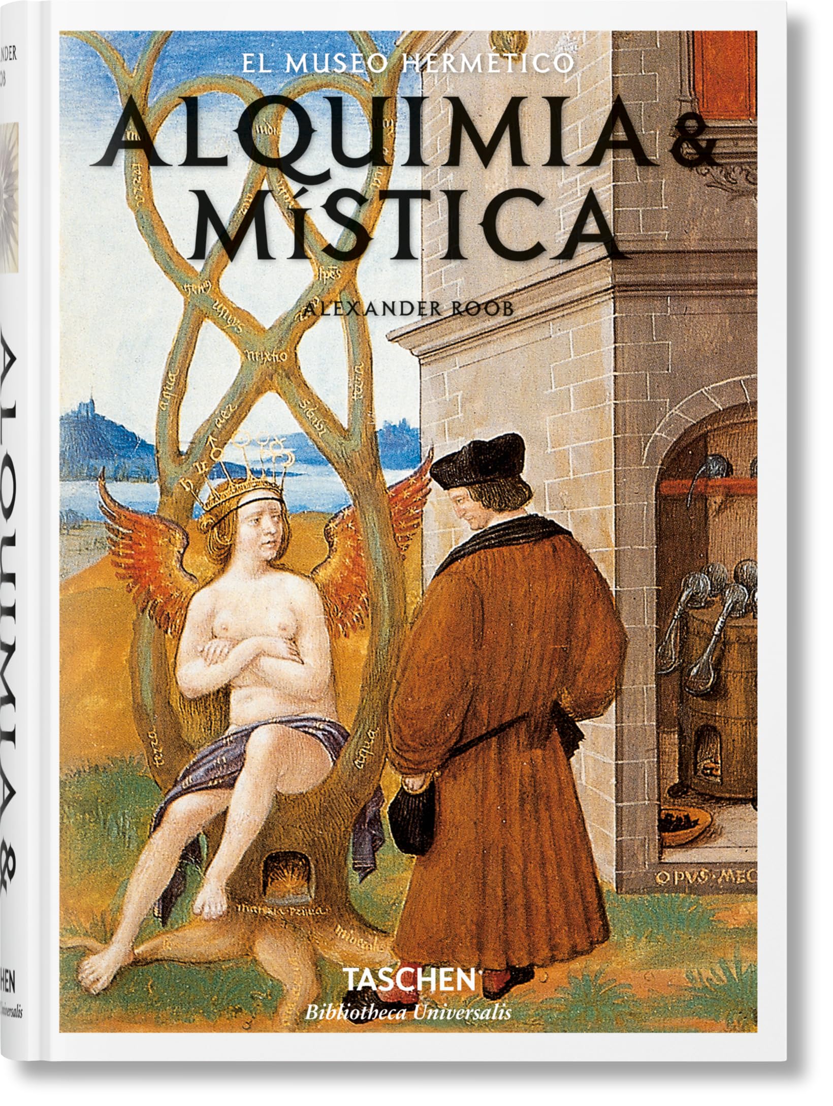 Libro: Alquimia Y Mística (Bibliotheca Universalis)