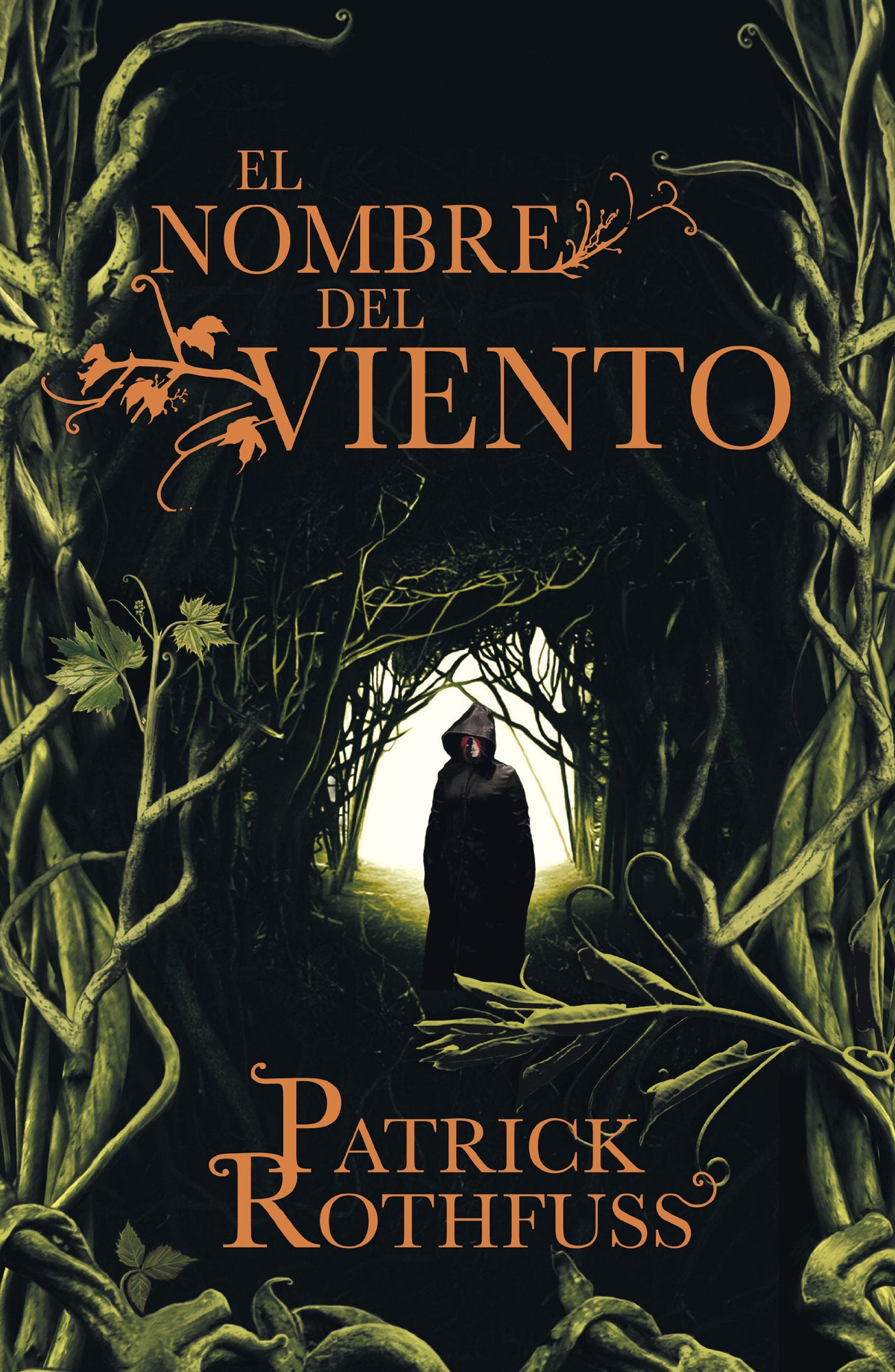 Libro: El nombre del viento (Crónica del asesino de reyes 1) (Éxitos)