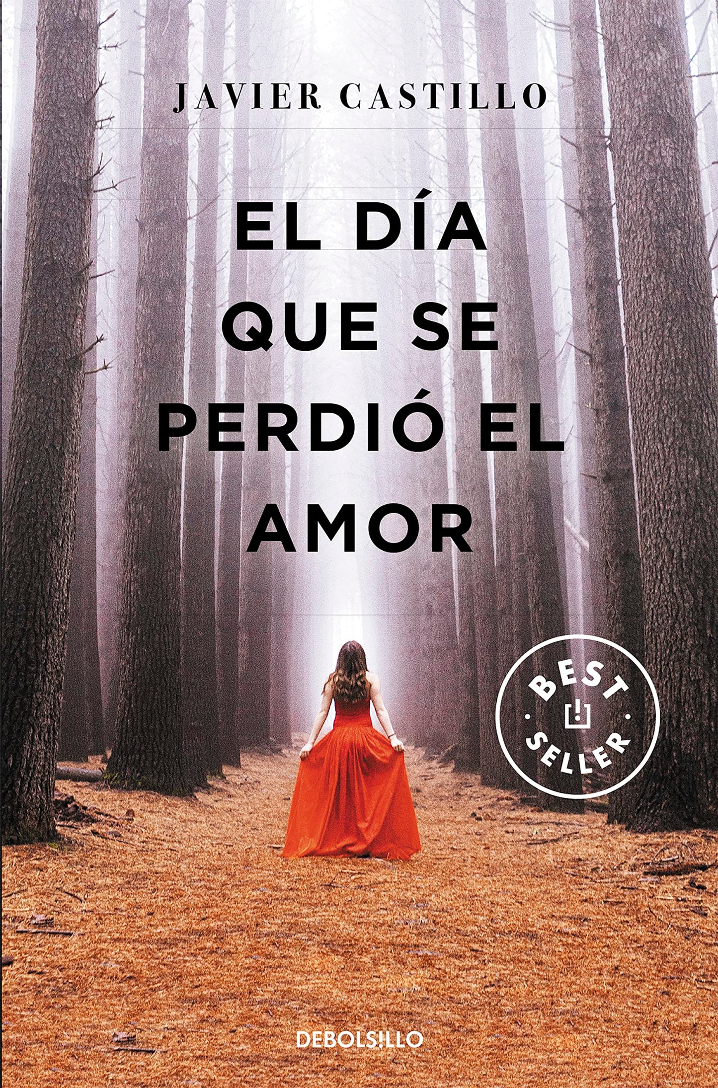 Libro: El día que se perdió el amor / The Day Love Was Lost
