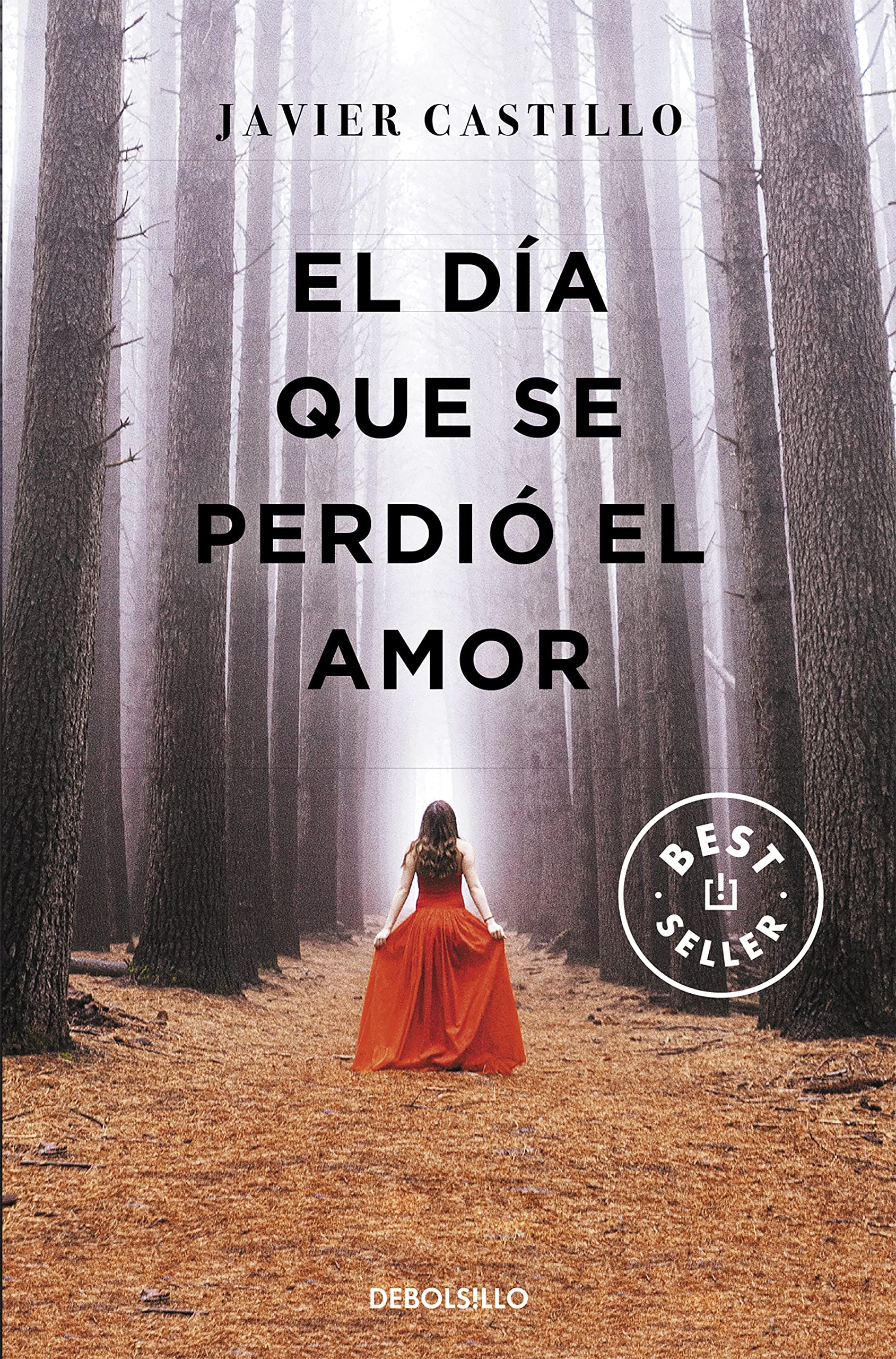 Libro: El día que se perdió el amor / The Day Love Was Lost