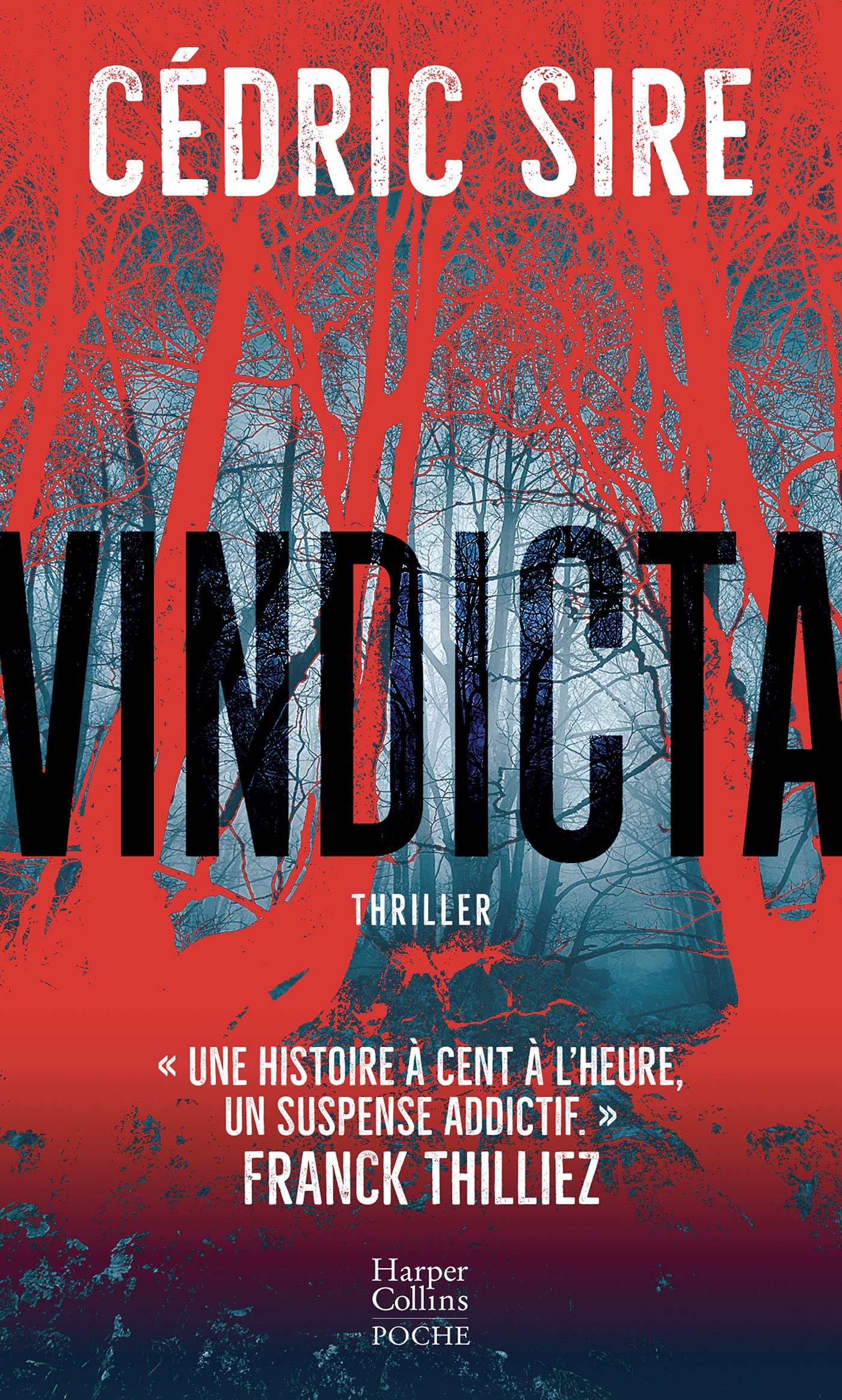 Libro: Vindicta