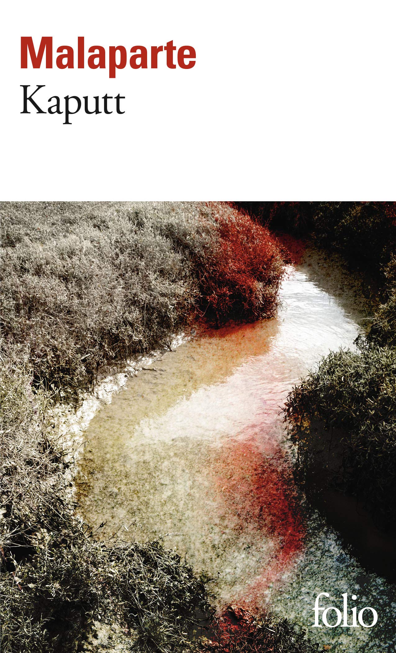 Libro: Kaputt
