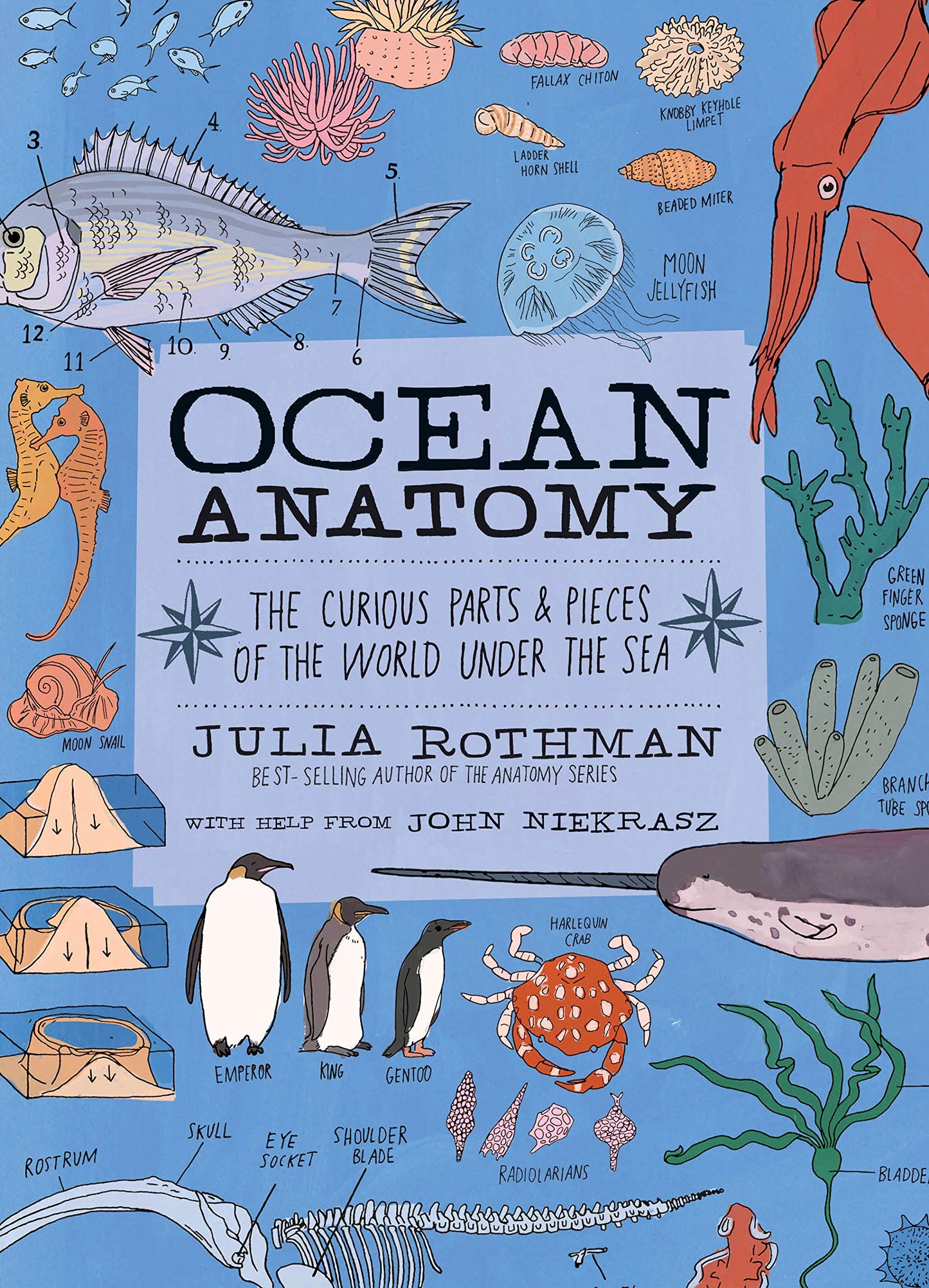Libro: Ocean Anatomy: The Curious Parts & Pieces of the World under the Sea