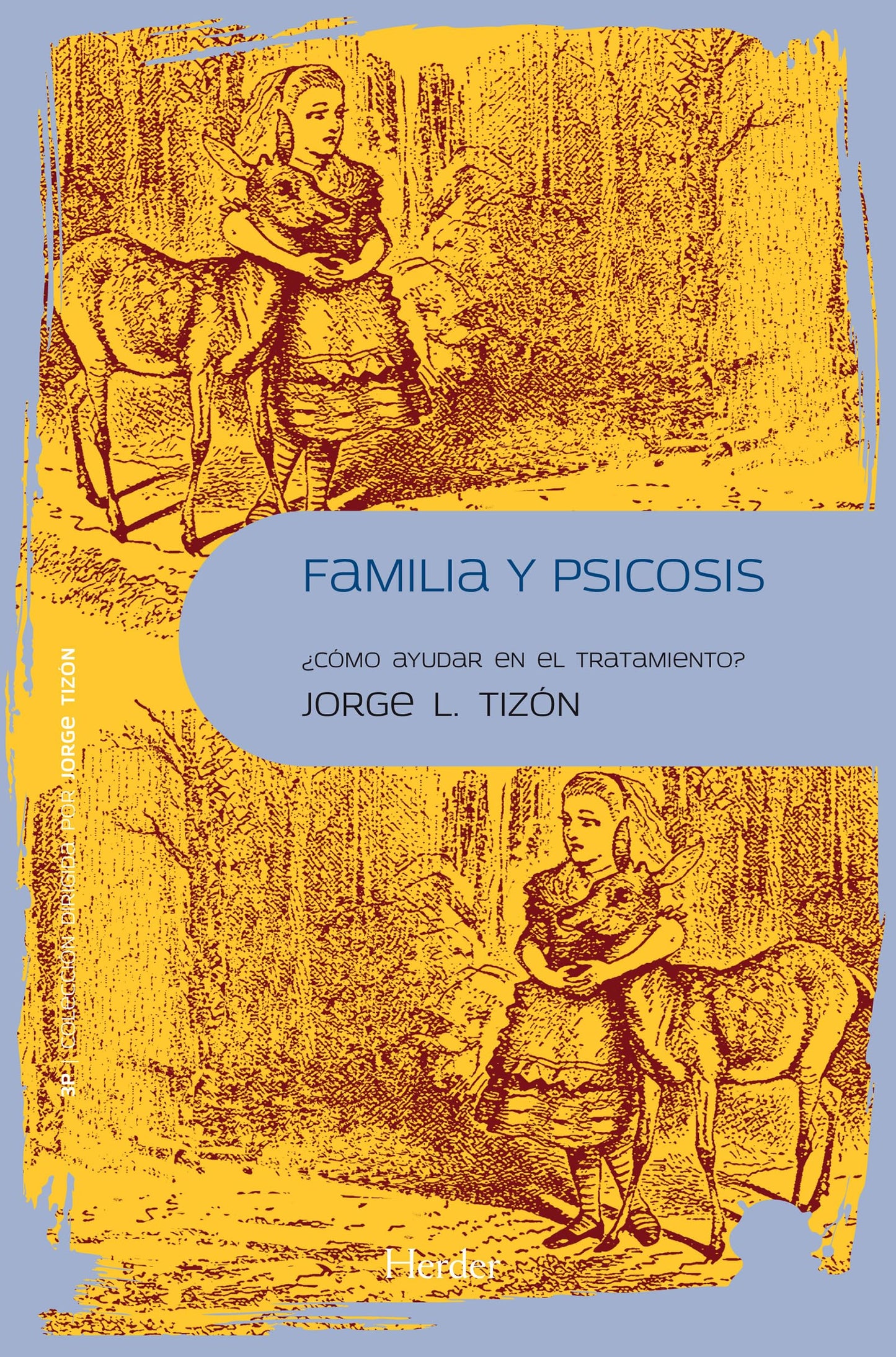 Libro: Familia y psicosis: ¿Cómo ayudar en el tratamiento?