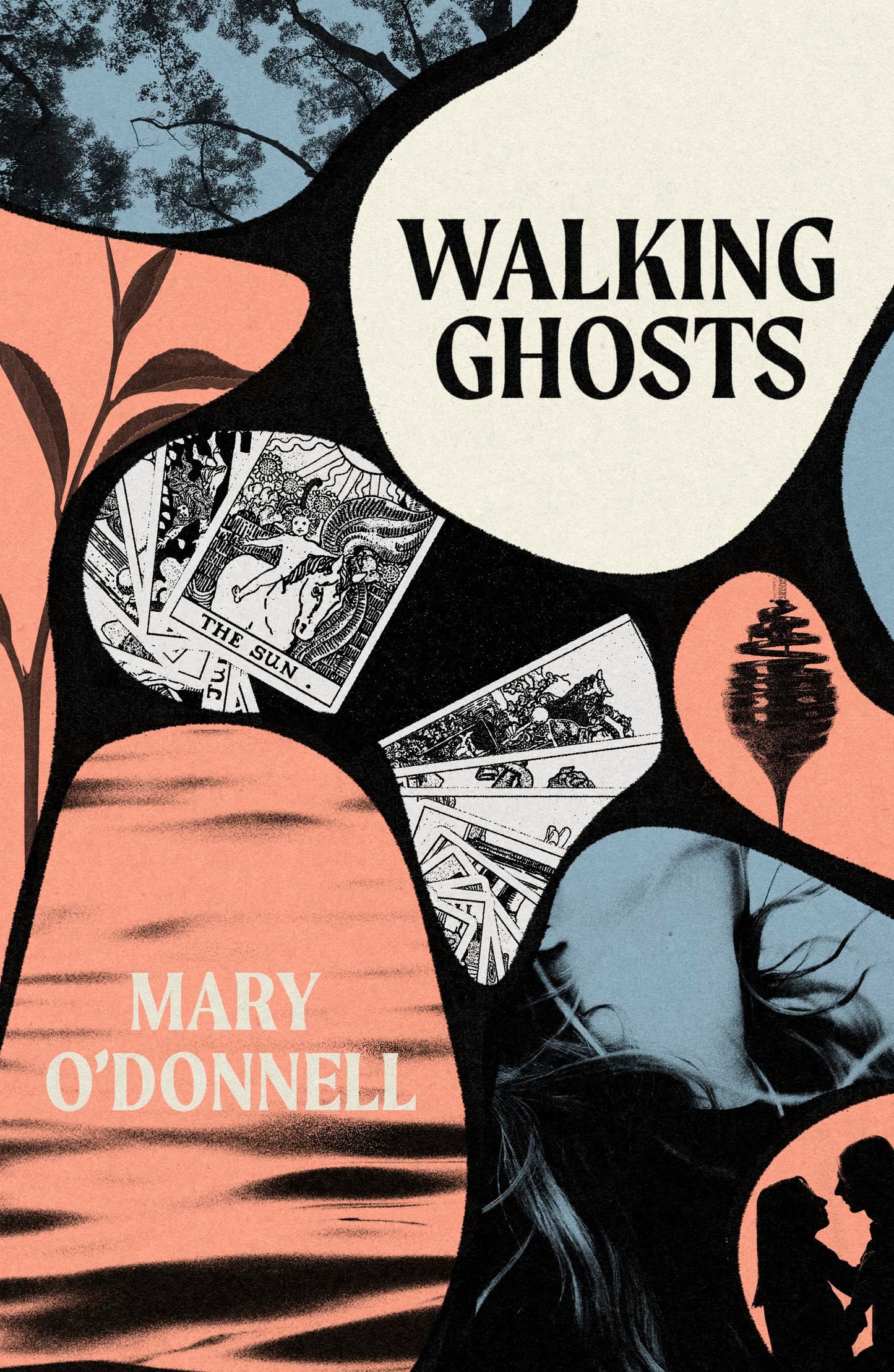 Libro: Mercier Press Walking Ghosts.