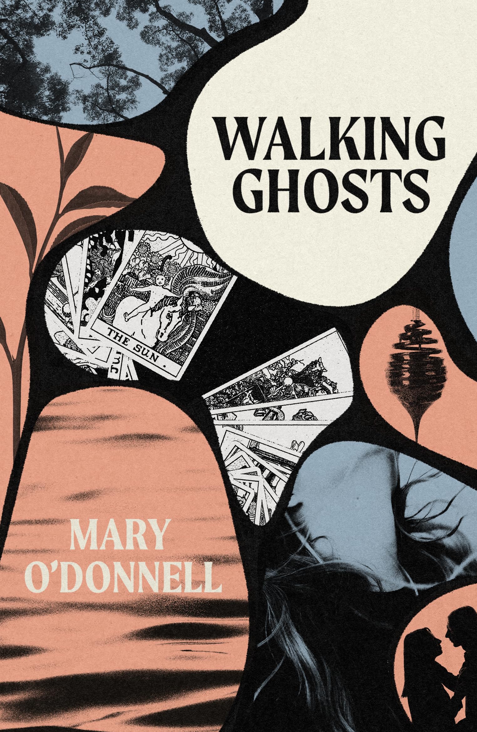 Libro: Mercier Press Walking Ghosts.