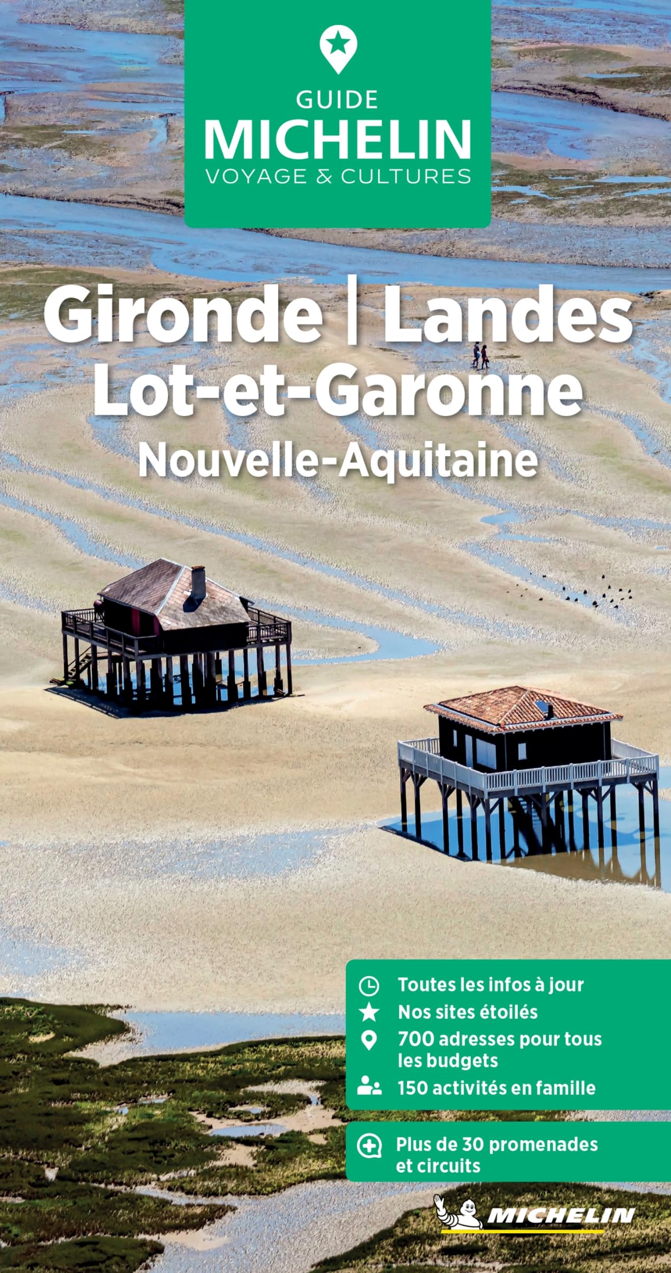 Libro: Guide Vert Gironde, Landes, Lot-et-Garonne: Nouvelle-Aquitaine (Guia Verde (frances))