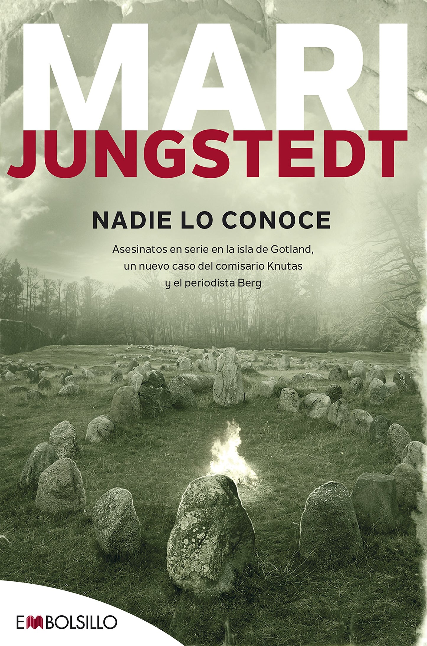 Libro: Nadie lo conoce: Asesinatos en serie en la isla de Gotland, otro caso para el comisario Knutas y el periodista Berg. (Spanish Edition)