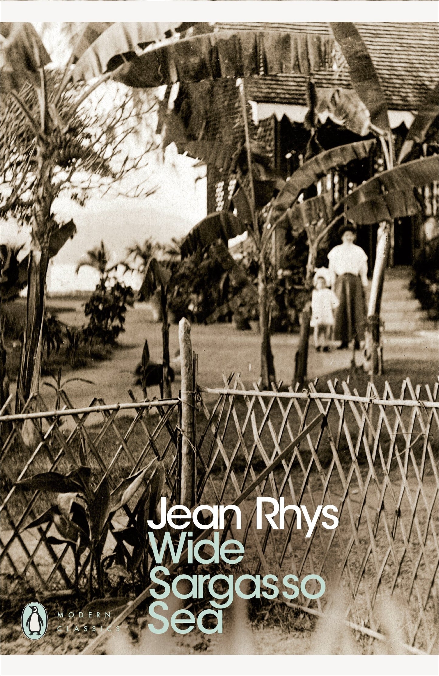 Wide Sargasso Sea: Jean Rhys (Penguin Modern Classics)