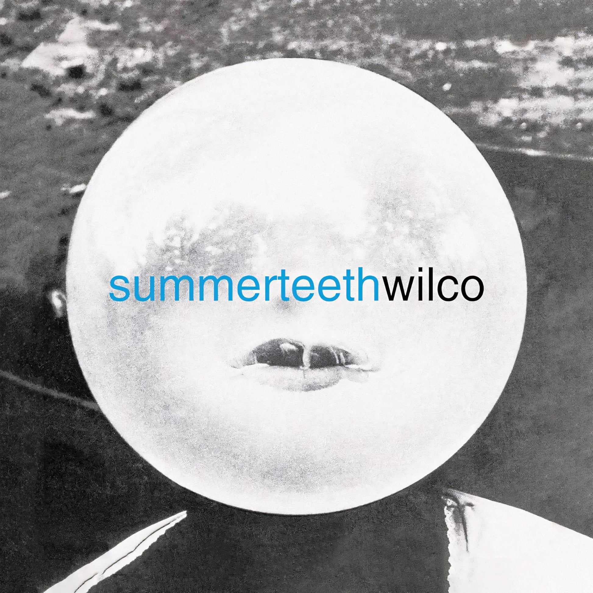 Libro: summerteeth