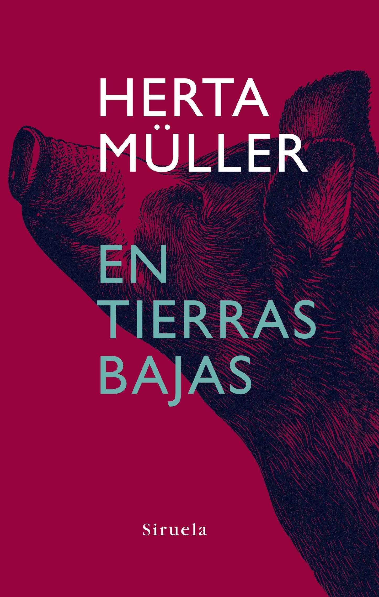 Libro: En tierras bajas (Libros Del Tiempo/ the Books of Time) (Spanish Edition)