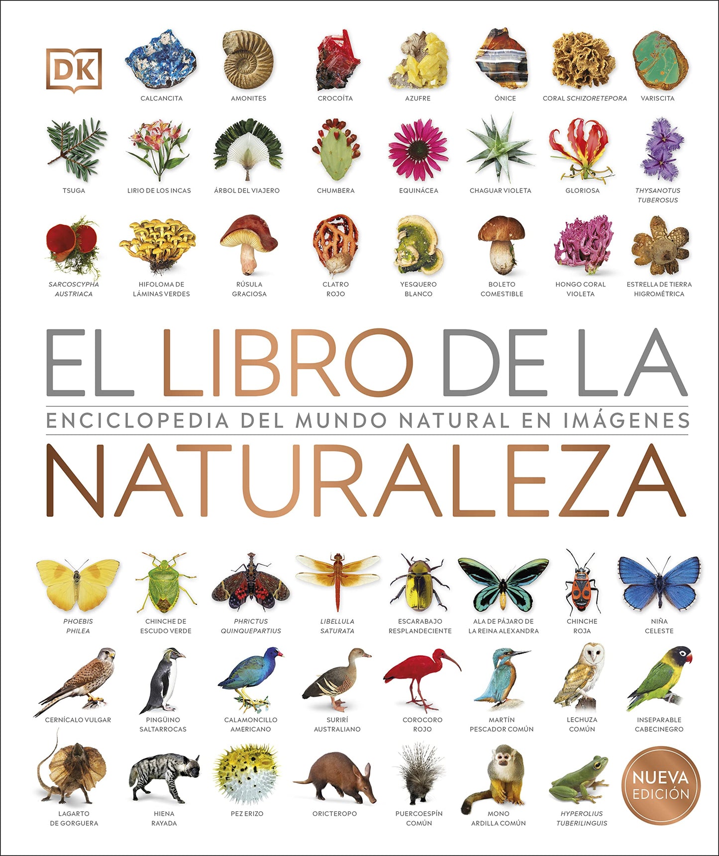 Libro: El libro de la naturaleza Nueva edición: Enciclopedia del mundo natural en imágenes (Enciclopedia visual)