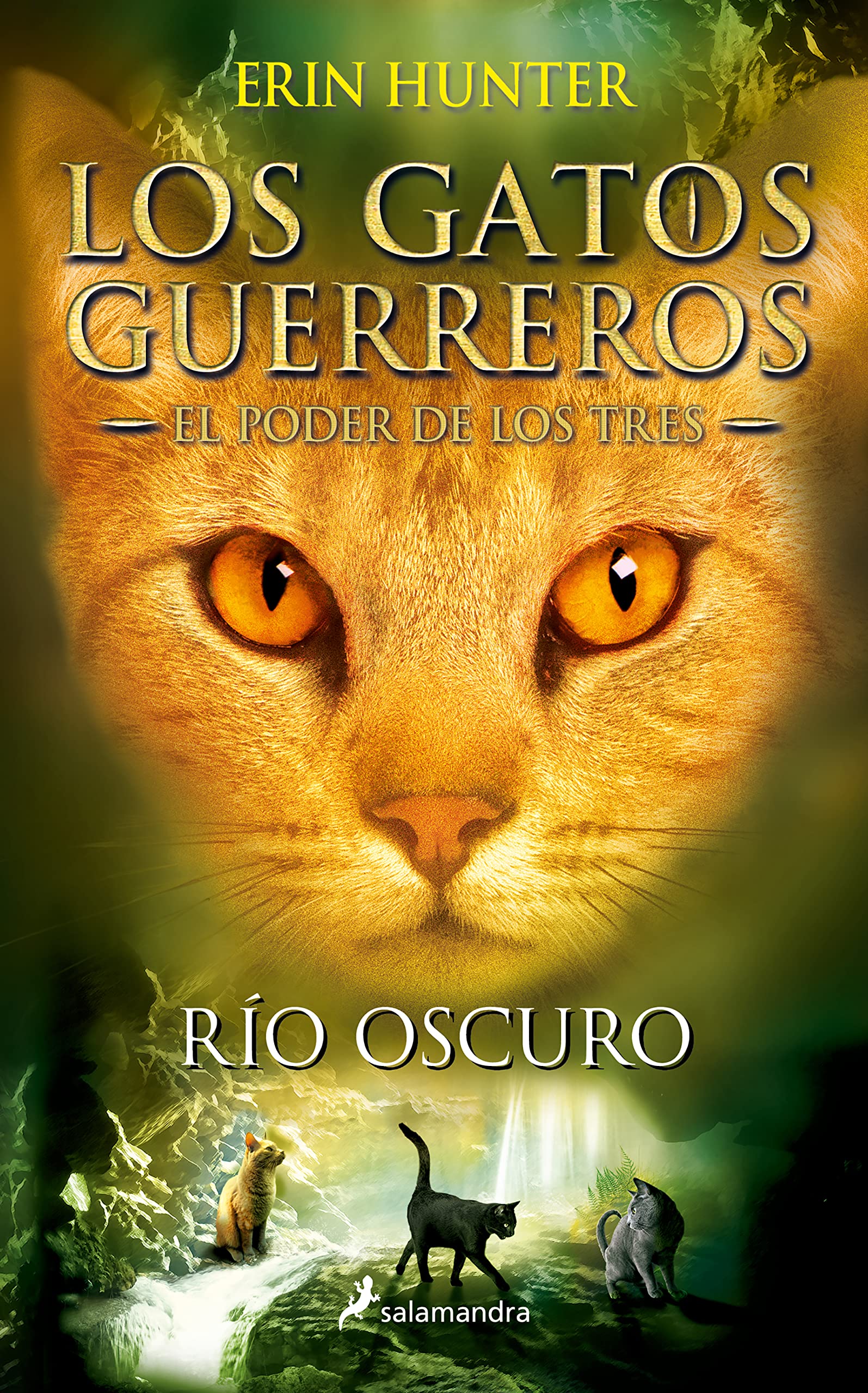 Libro: El río oscuro (El poder de los tres II): Los gatos guerreros - El poder de los tres II: 2 (Colección Salamandra Juvenil)
