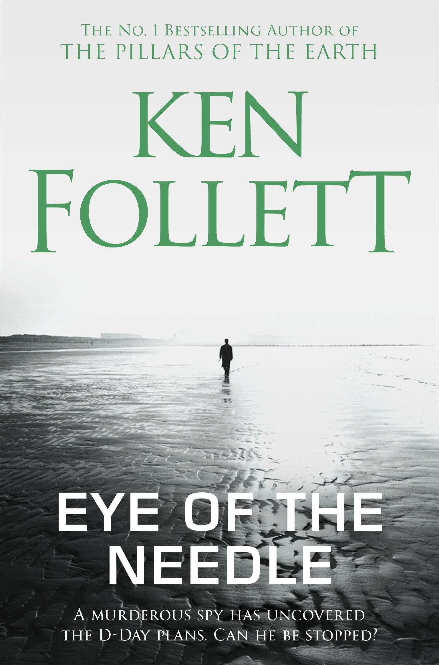Libro: Eye of the Needle