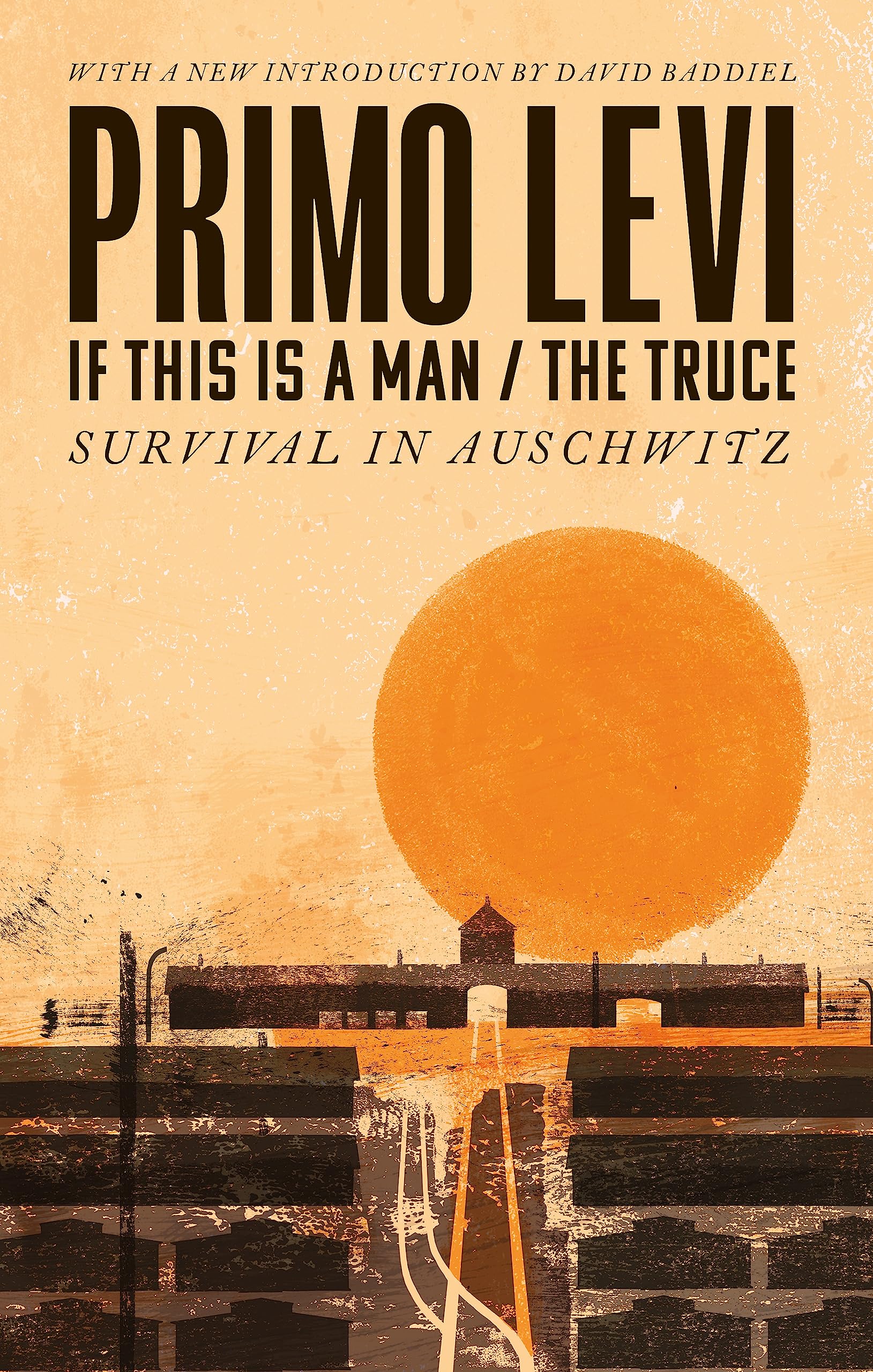 Libro: If This Is A Man/The Truce (50th Anniversary Edition): Surviving Auschwitz