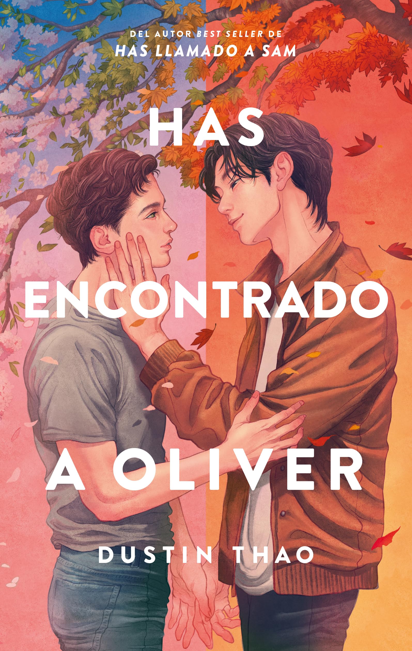 Libro: Has encontrado a Oliver (Spanish Edition)