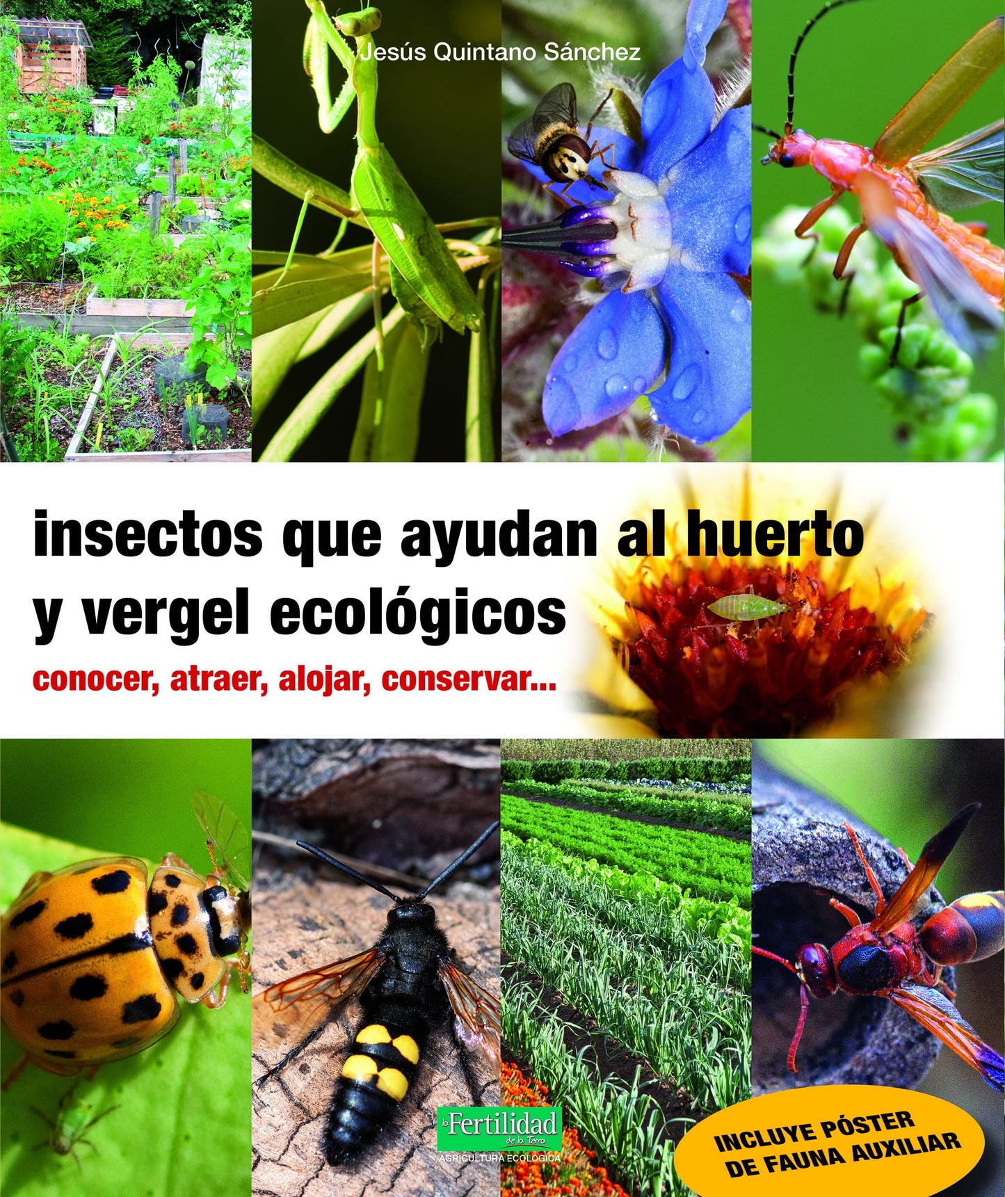 Libro: Insectos que ayudan al huerto y vergel ecológicos: Conocer, atraer, alojar, conservar...: 29 (Guías para la Fertilidad de la Tierra)