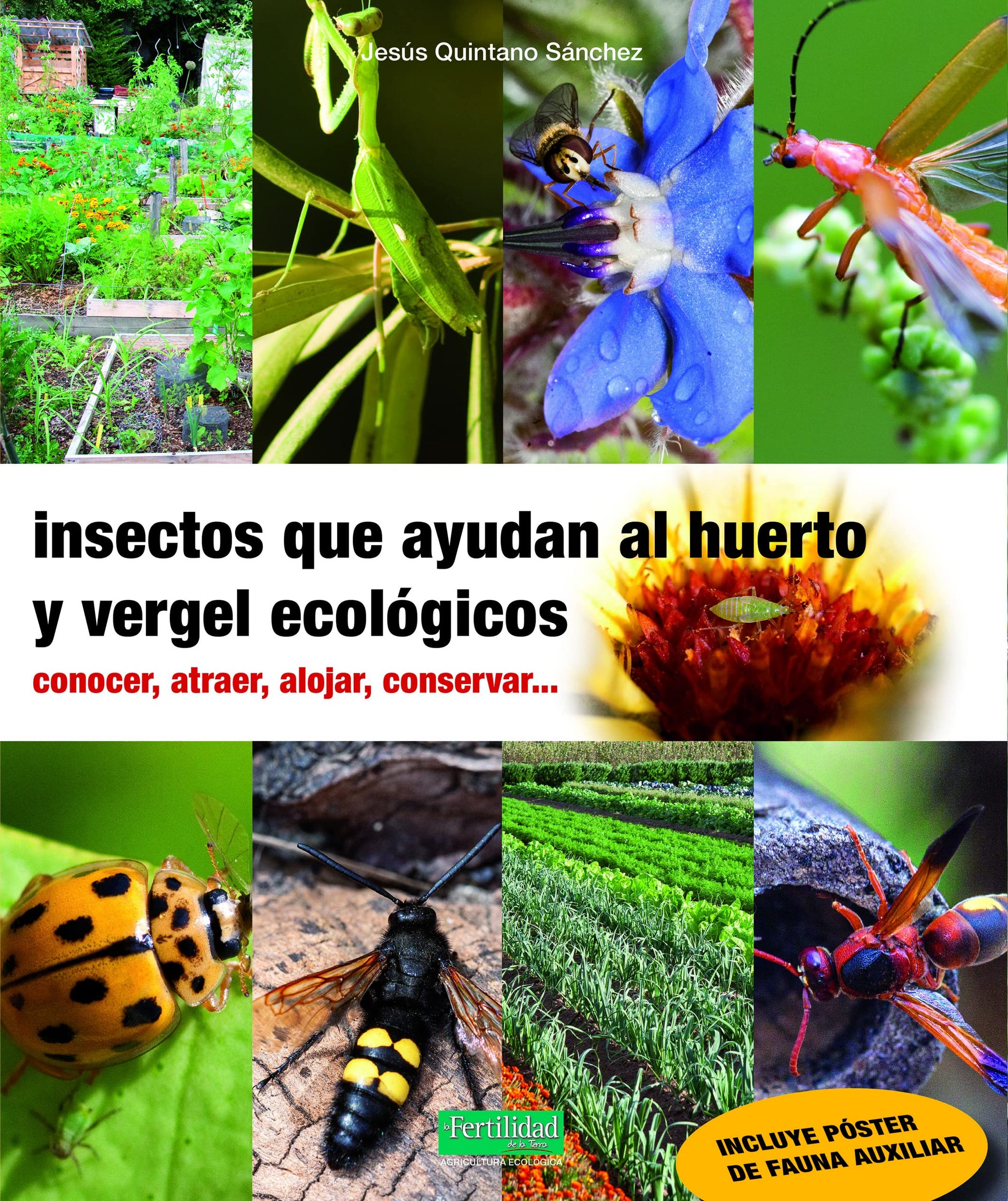 Libro: Insectos que ayudan al huerto y vergel ecológicos: Conocer, atraer, alojar, conservar...: 29 (Guías para la Fertilidad de la Tierra)