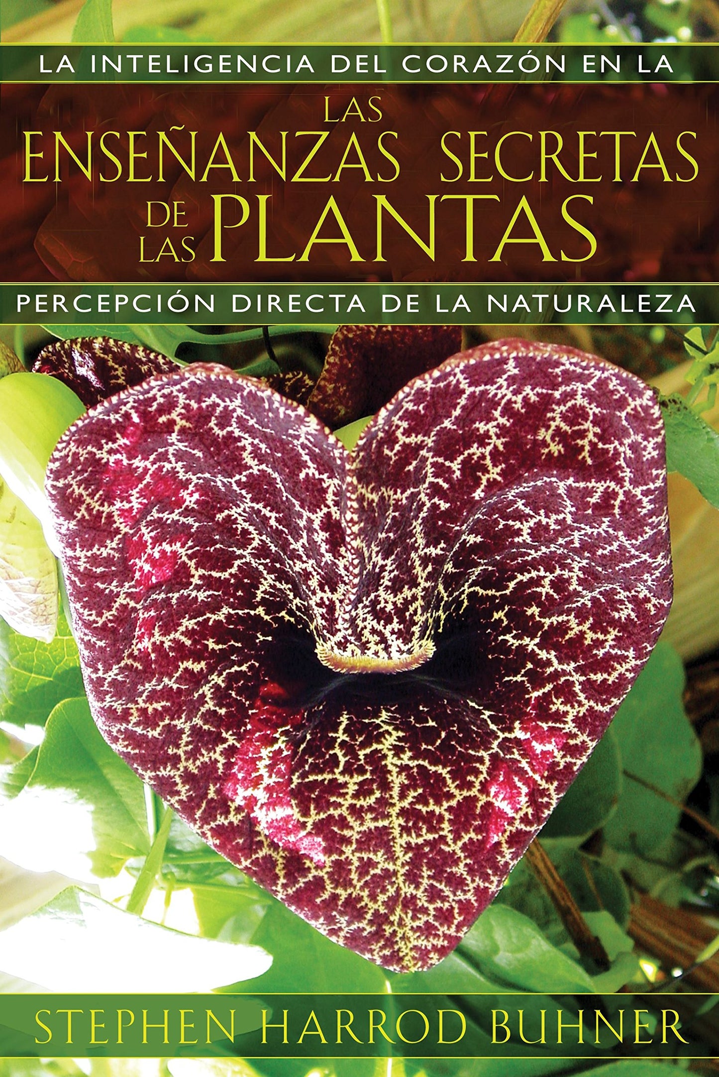Libro: Las enseñanzas secretas de las plantas: La inteligencia del corazón en la percepción directa de la naturaleza