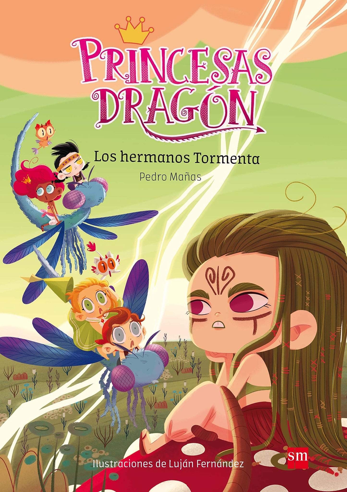 Libro: Princesas Dragón 5: Los hermanos Tormenta