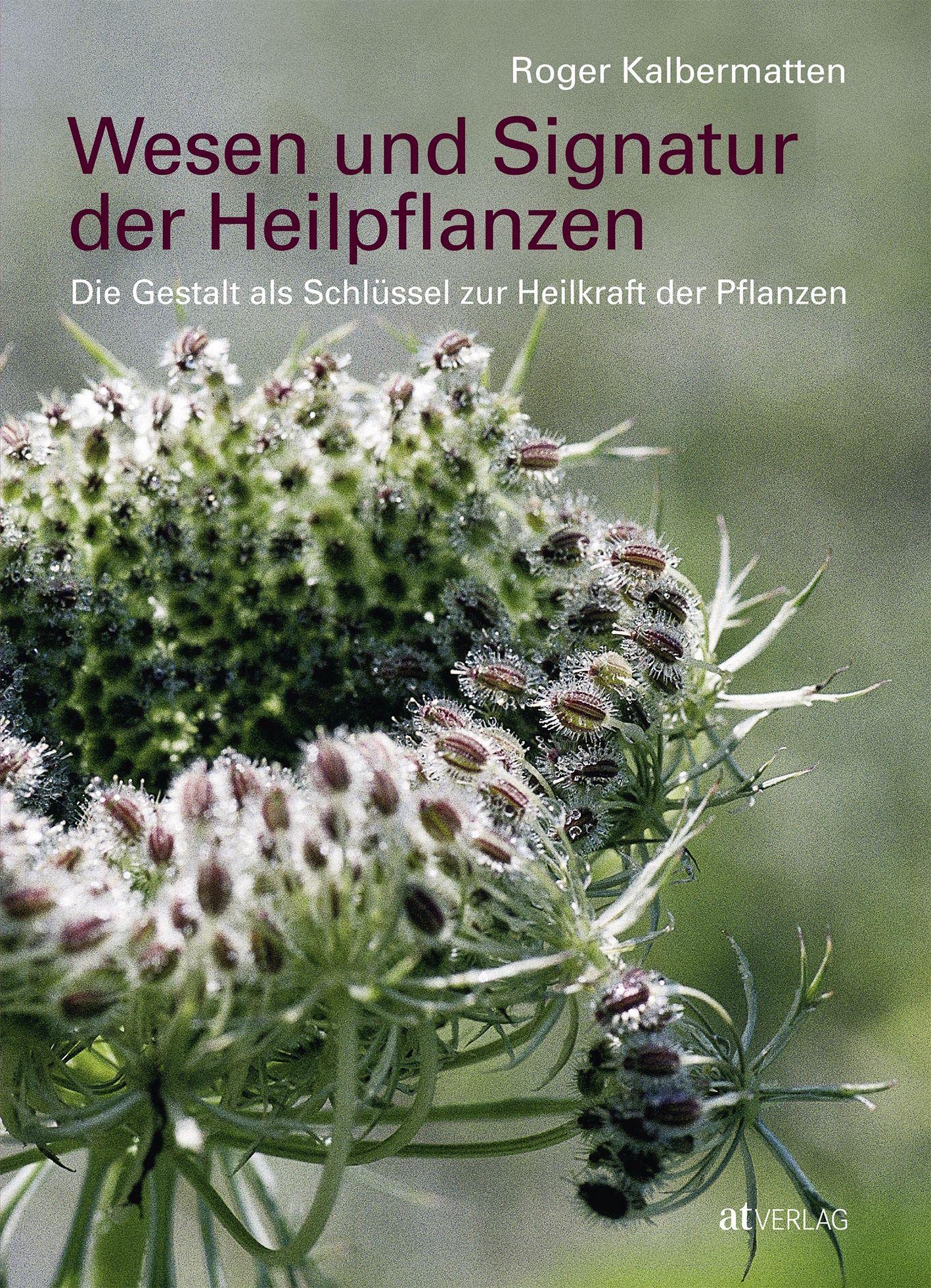 Libro: Wesen und Signatur der Heilpflanzen: Die Gestalt als Schlüssel zur Heilkraft der Pflanzen