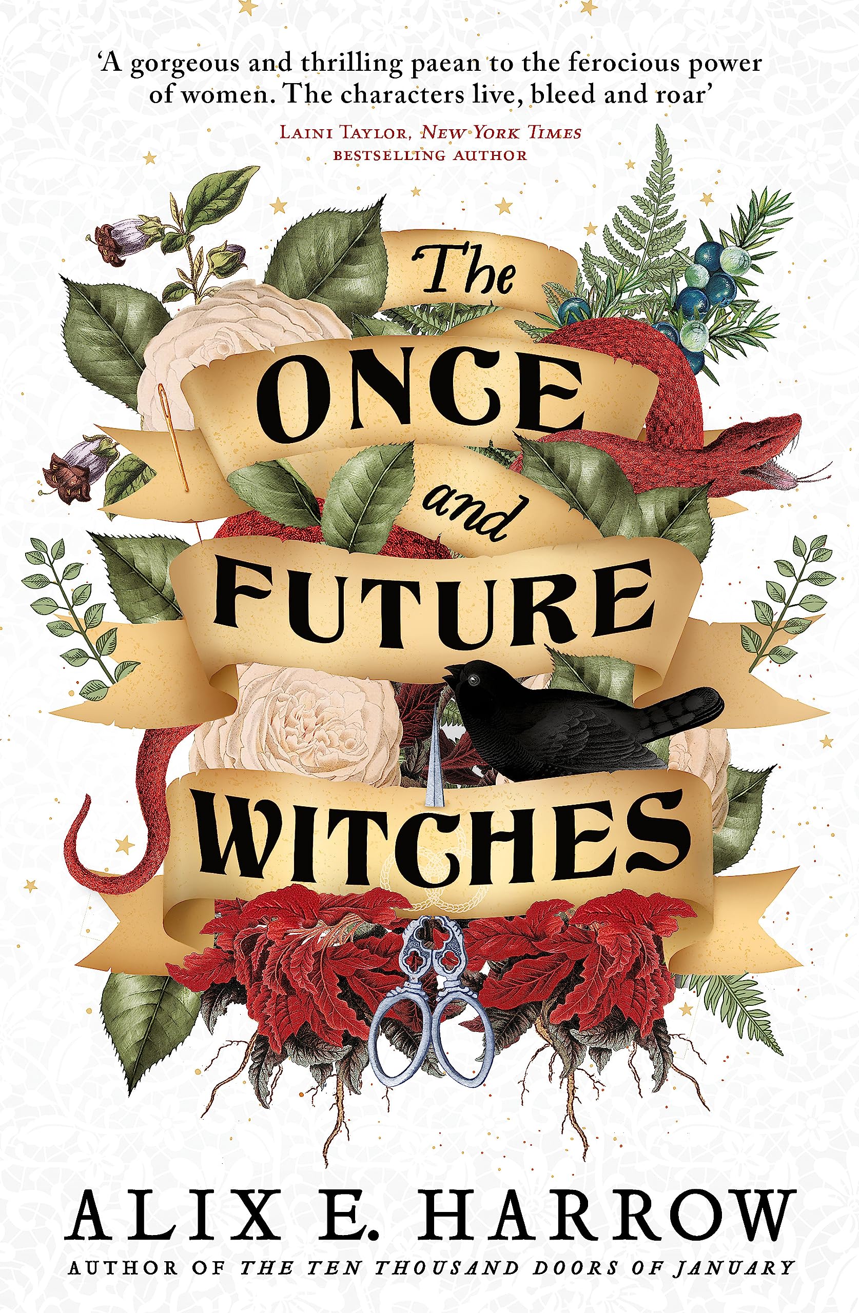Libro: The once and future witches