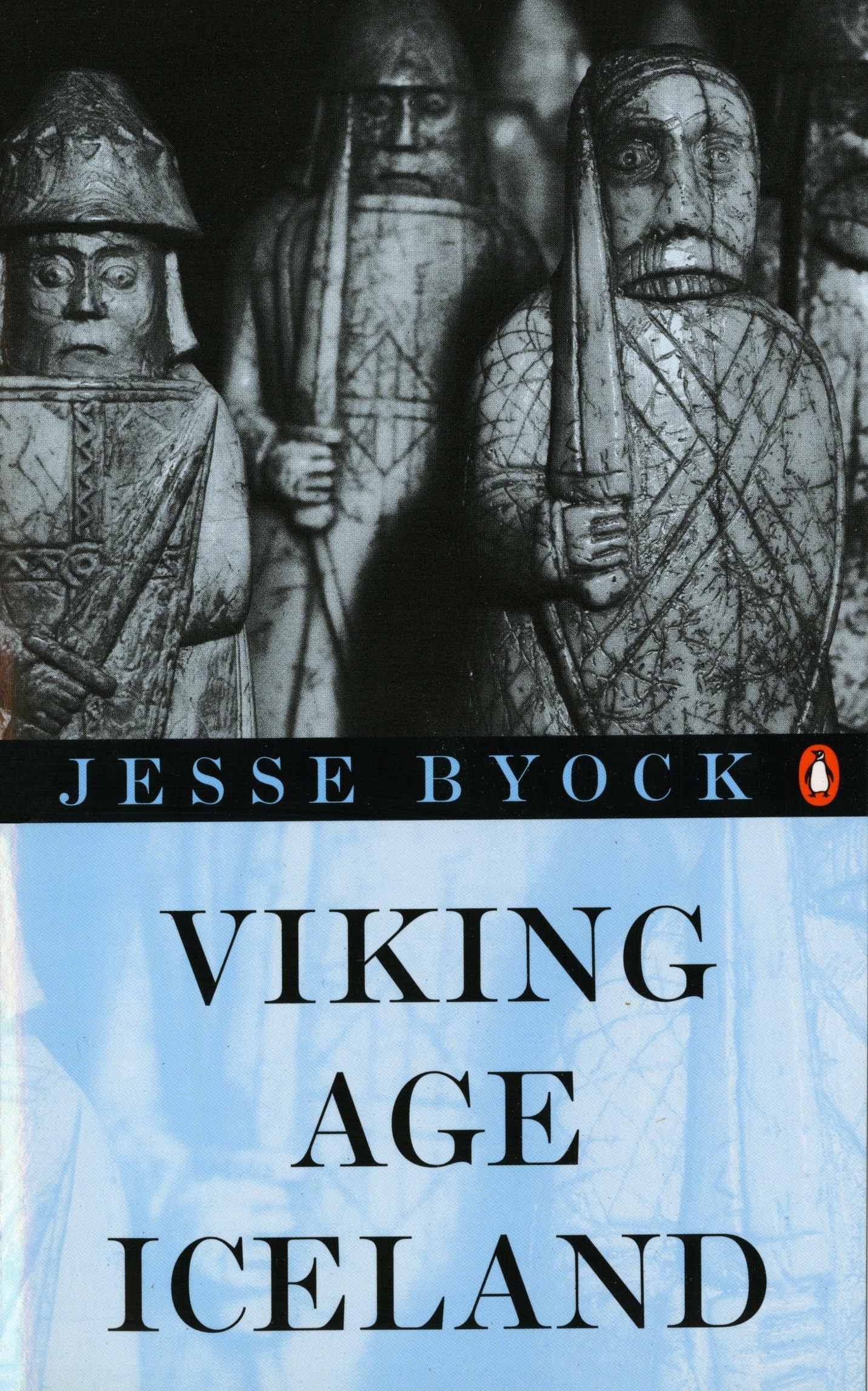 Libro: Viking Age Iceland