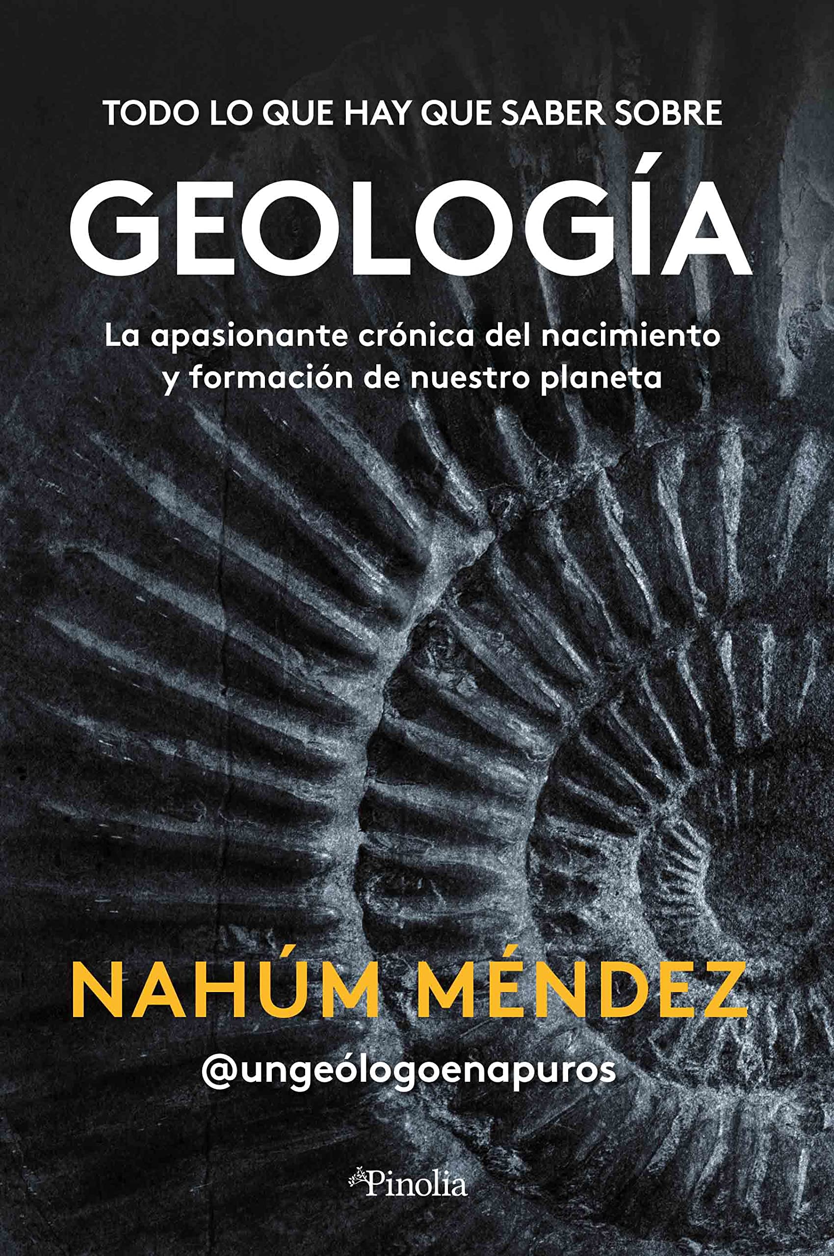 Libro: Todo lo que hay que saber sobre geología: La apasionante crónica del nacimiento y formación de nuestro planeta (Manuales prácticos)